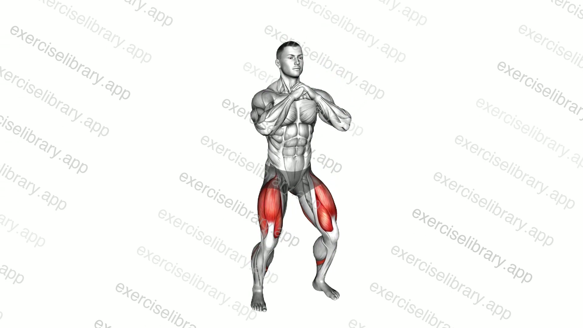Bodyweight Paused Goblet Squat demonstration