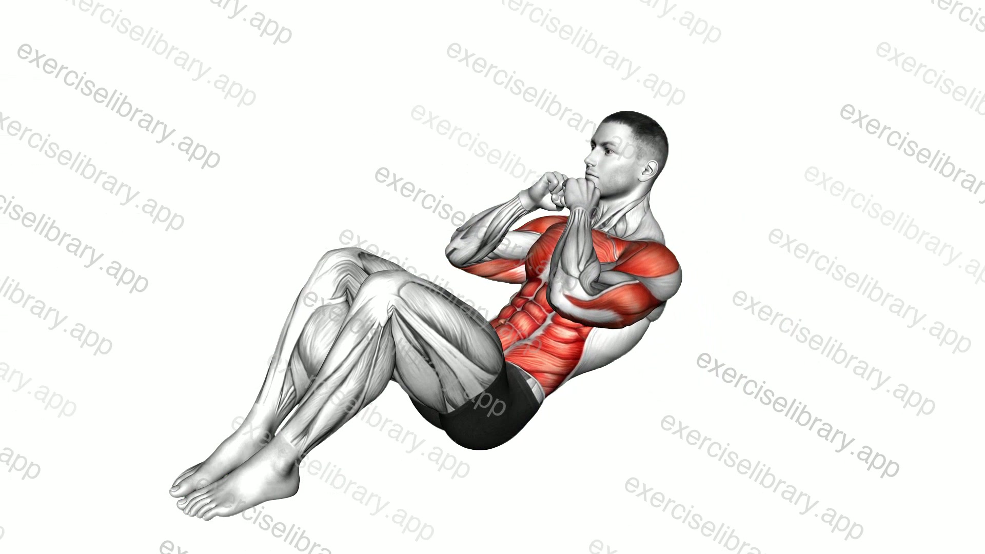 Sit-up Punches demonstration