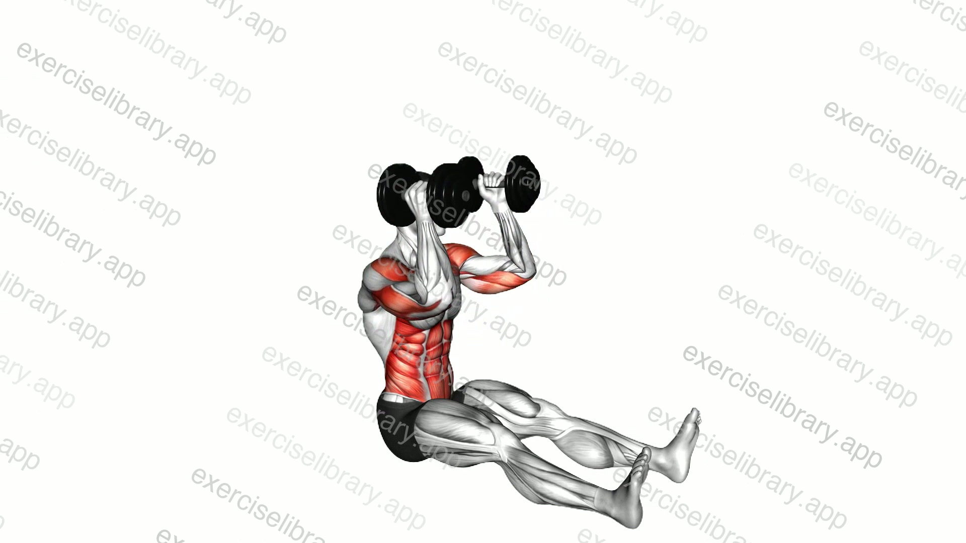 Dumbbell Z-Press demonstration