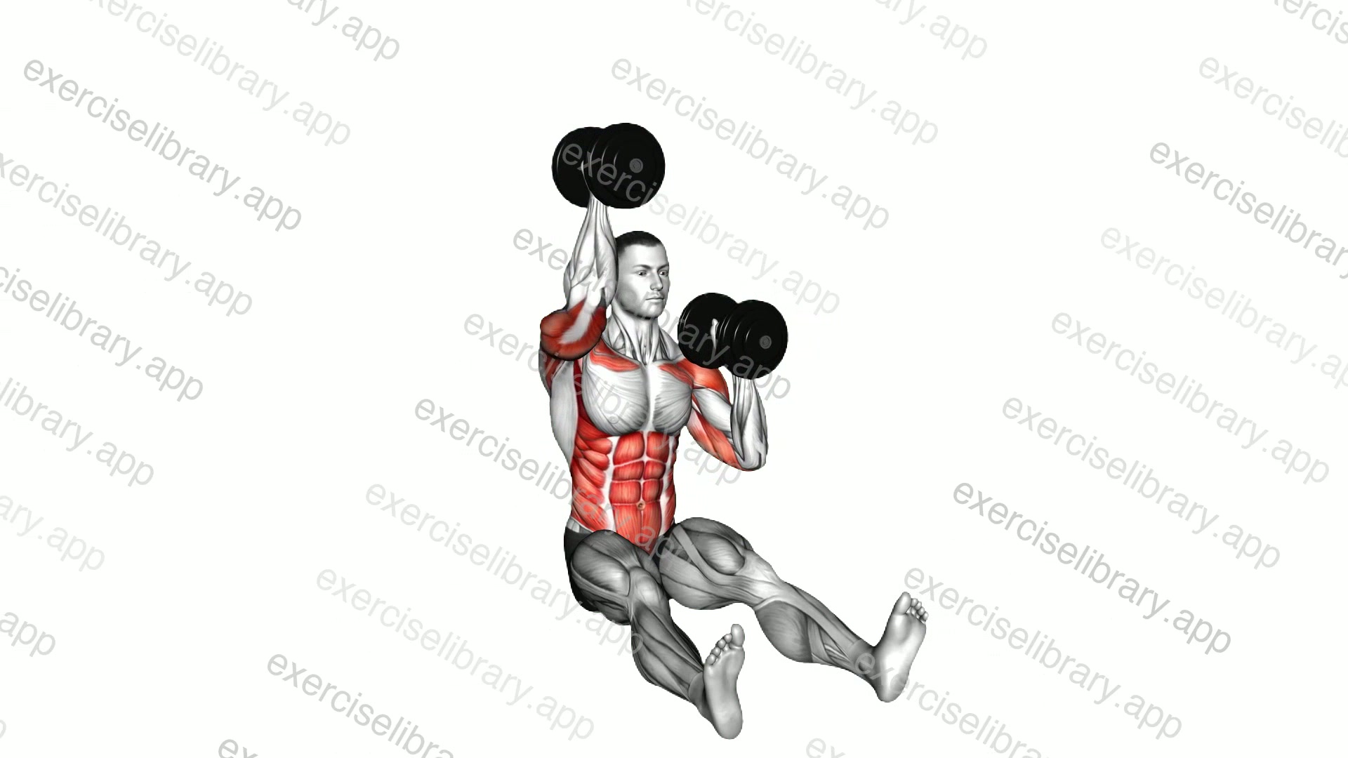 Dumbbell Alternate Z-Press demonstration