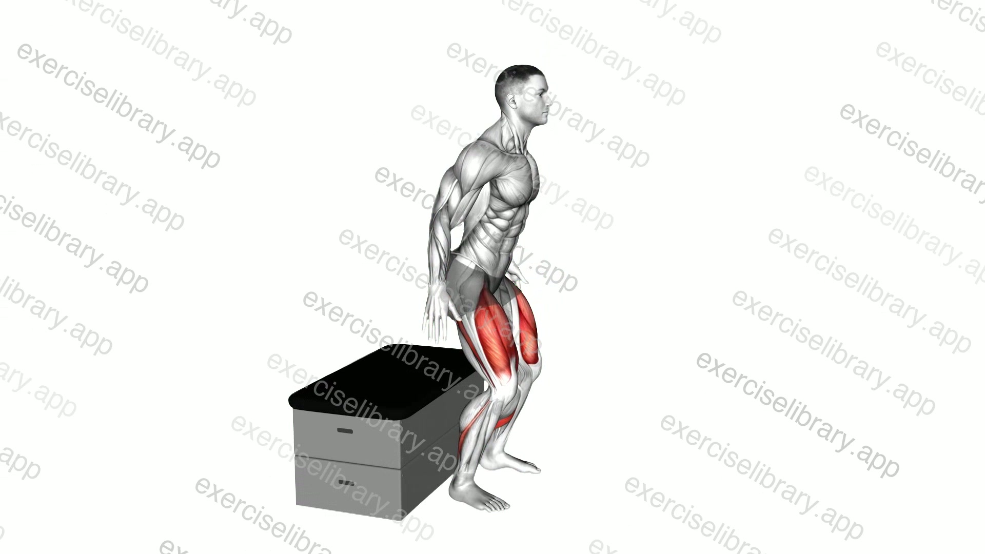 Squat on a padded stool demonstration