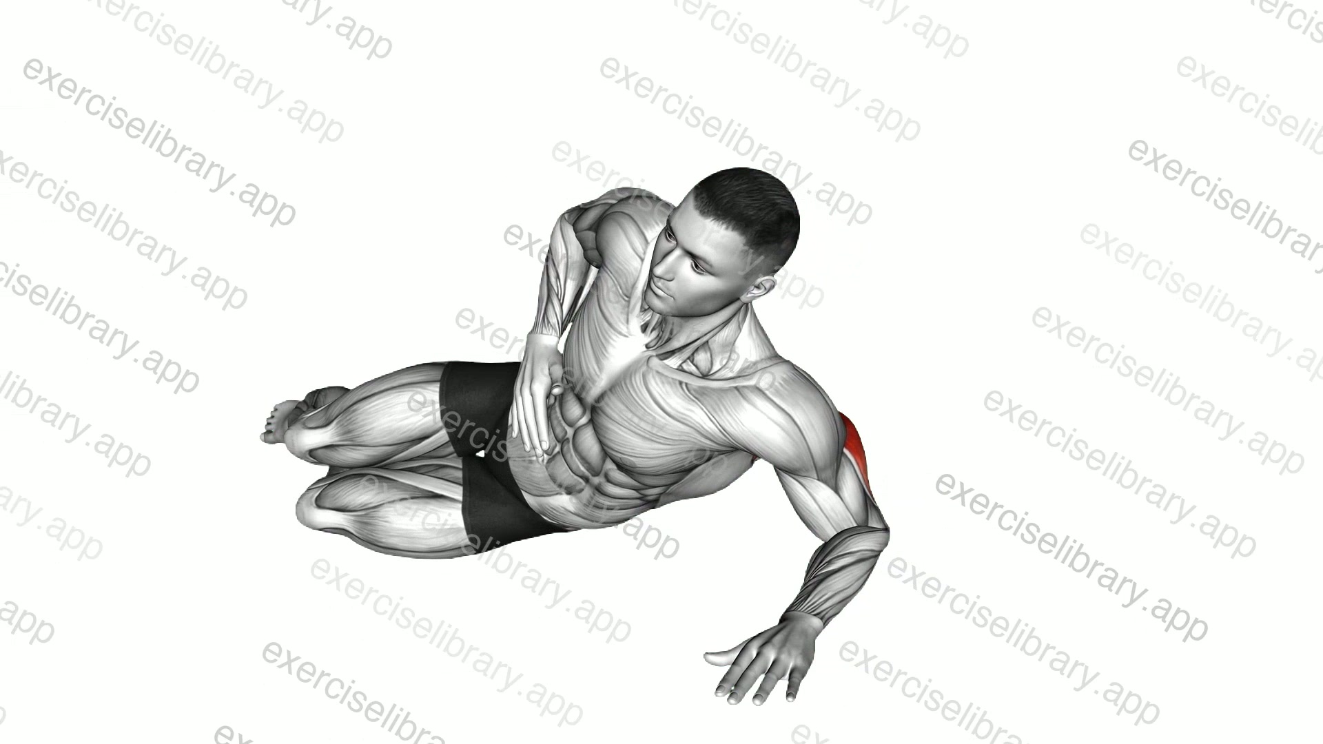 Side Lying Single Arm Triceps Push-up demonstration