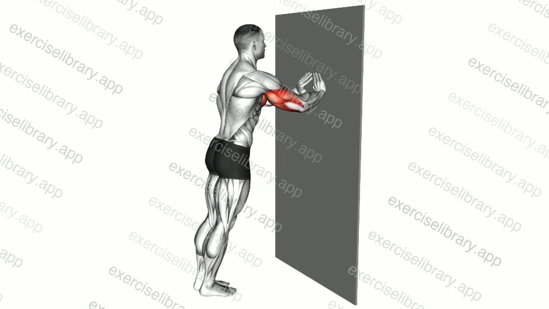 Diamond Push-up against wall demonstration