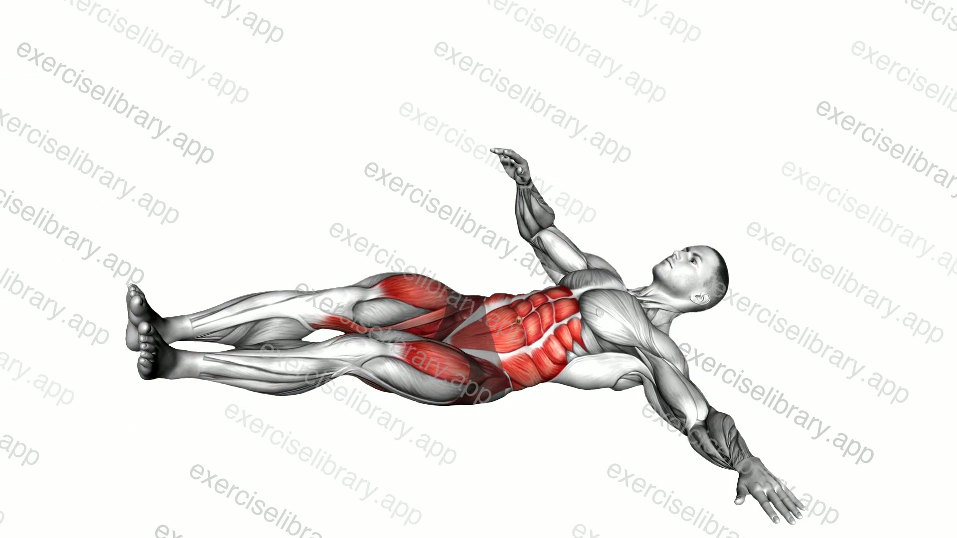 Bodyweight Lying Oblique V-up demonstration