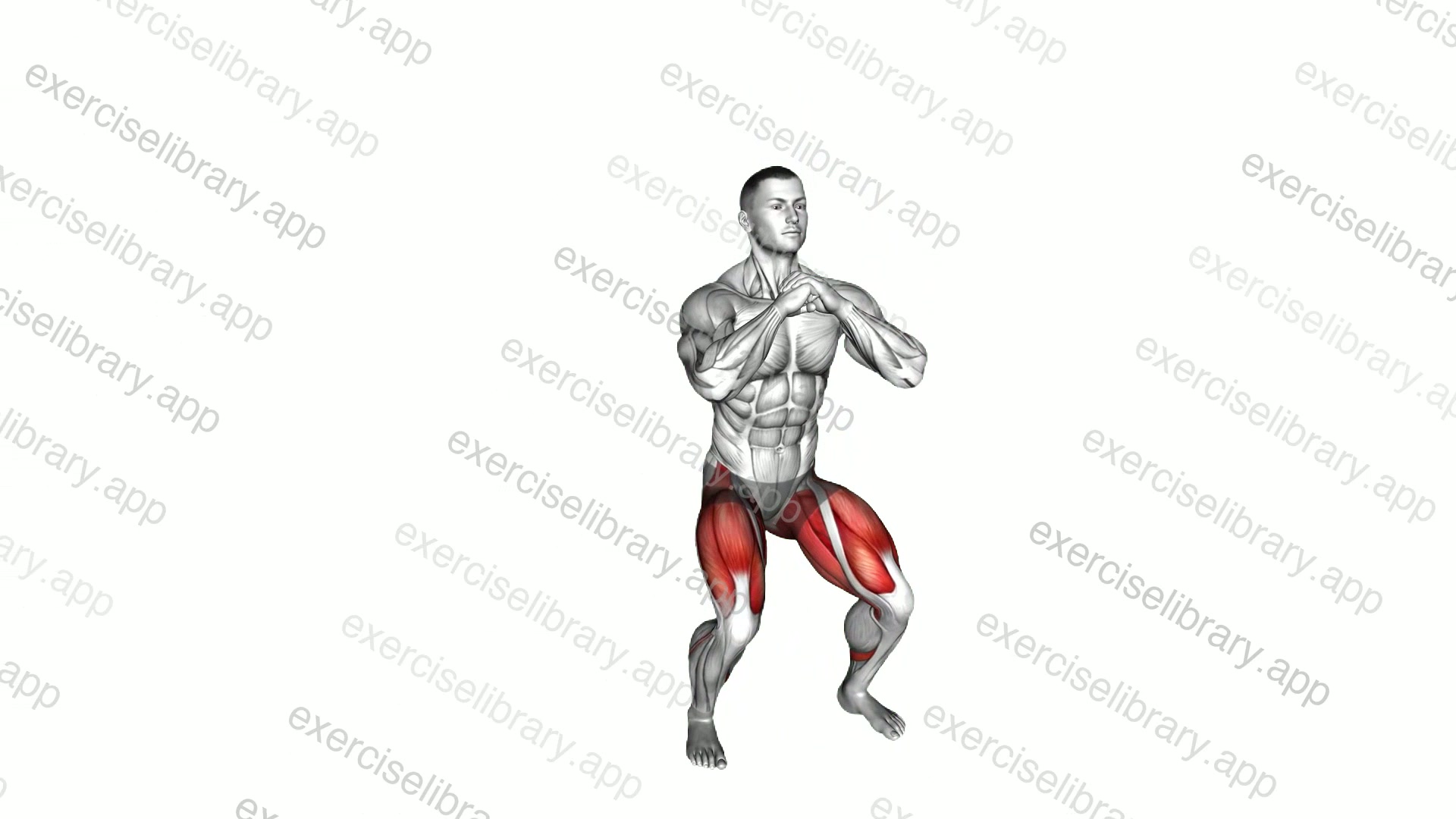 Side Step Deep Squat demonstration