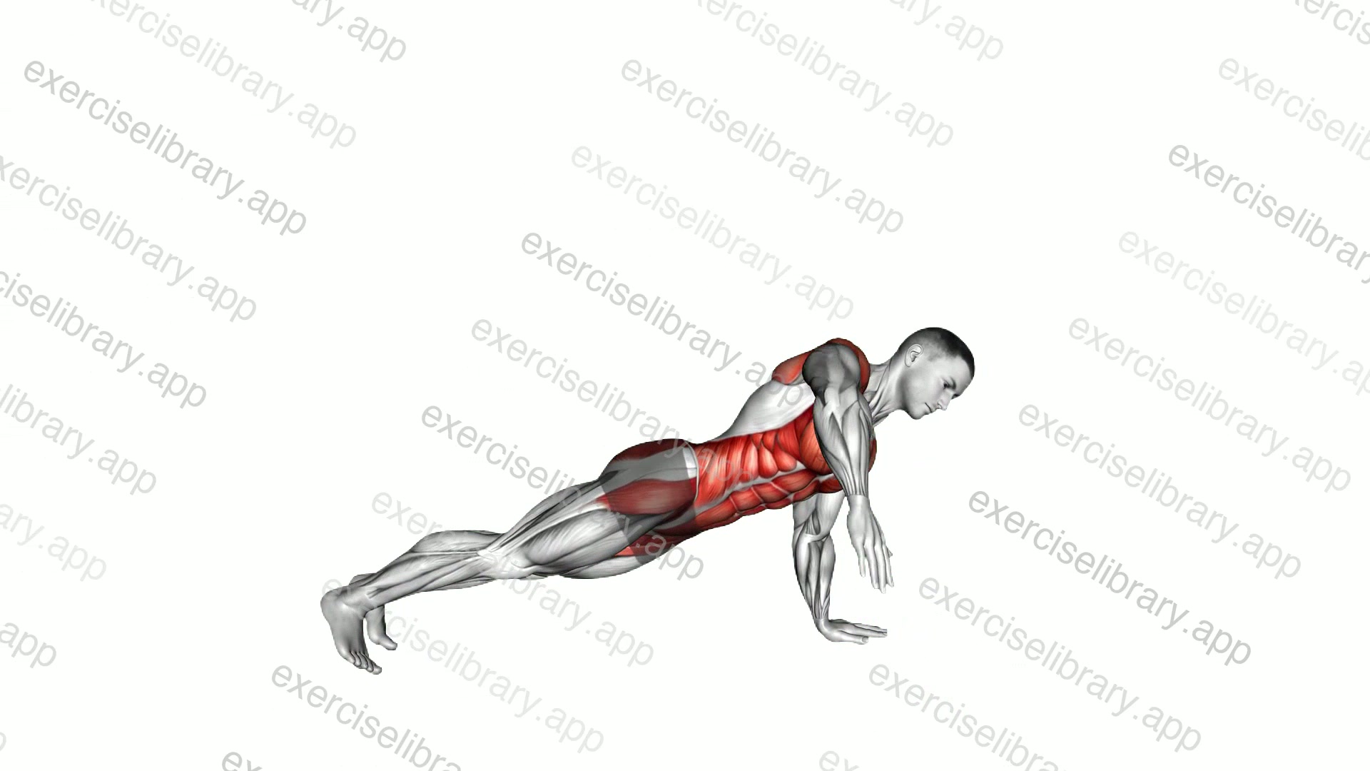 Front Plank to Side Plank demonstration