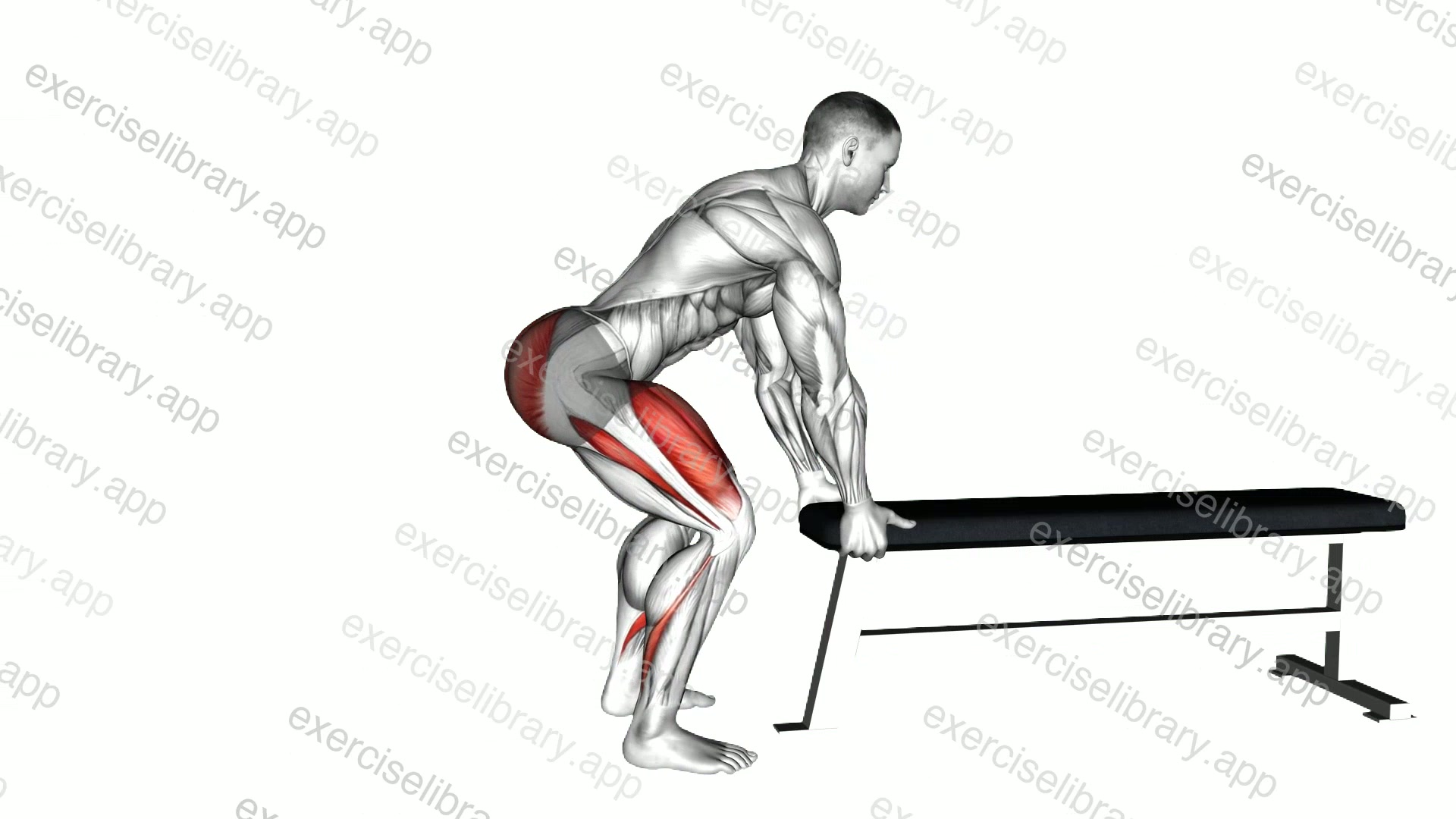 Jackknife Squat demonstration
