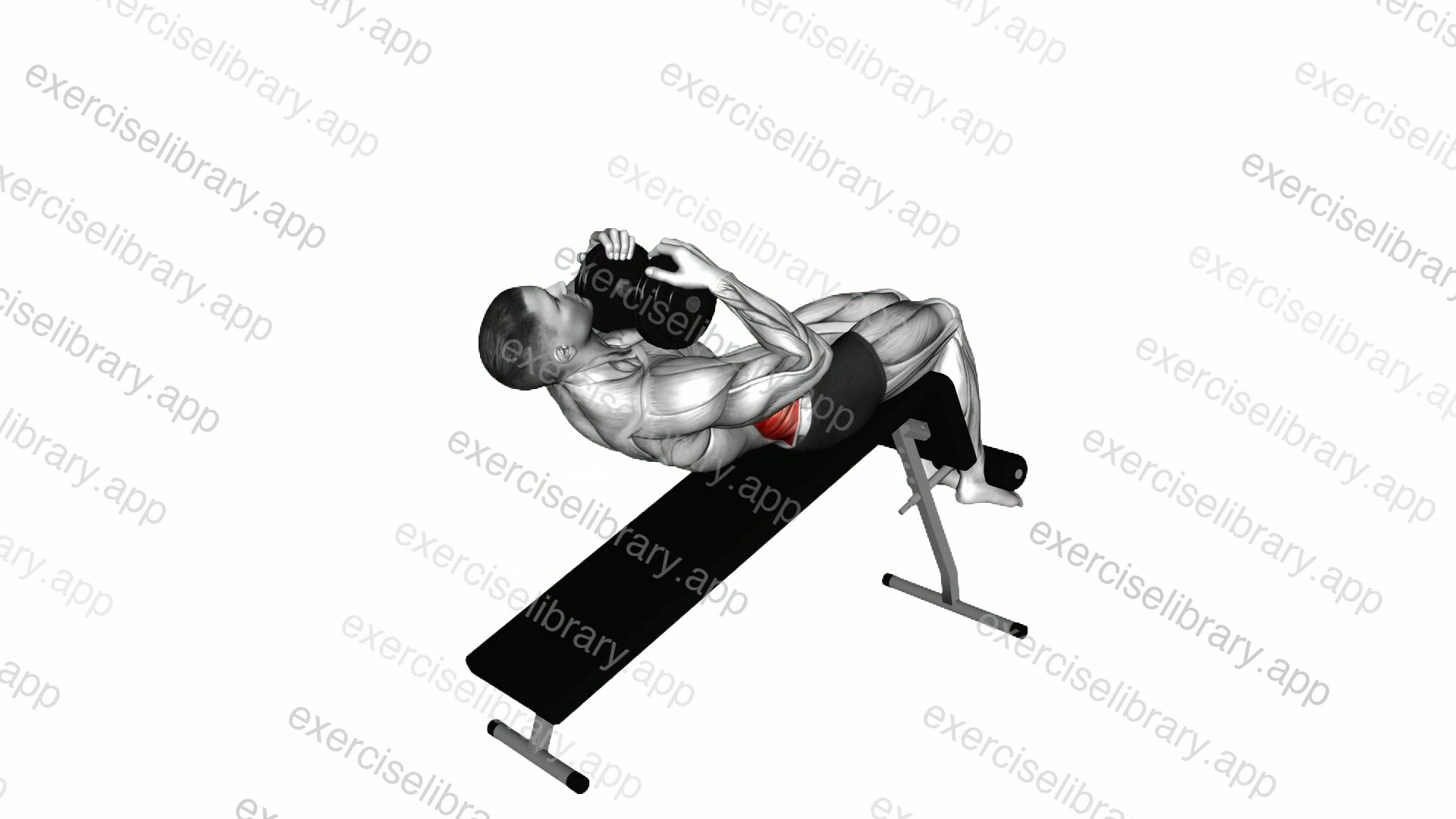 Weighted Decline Twist Sit-up demonstration