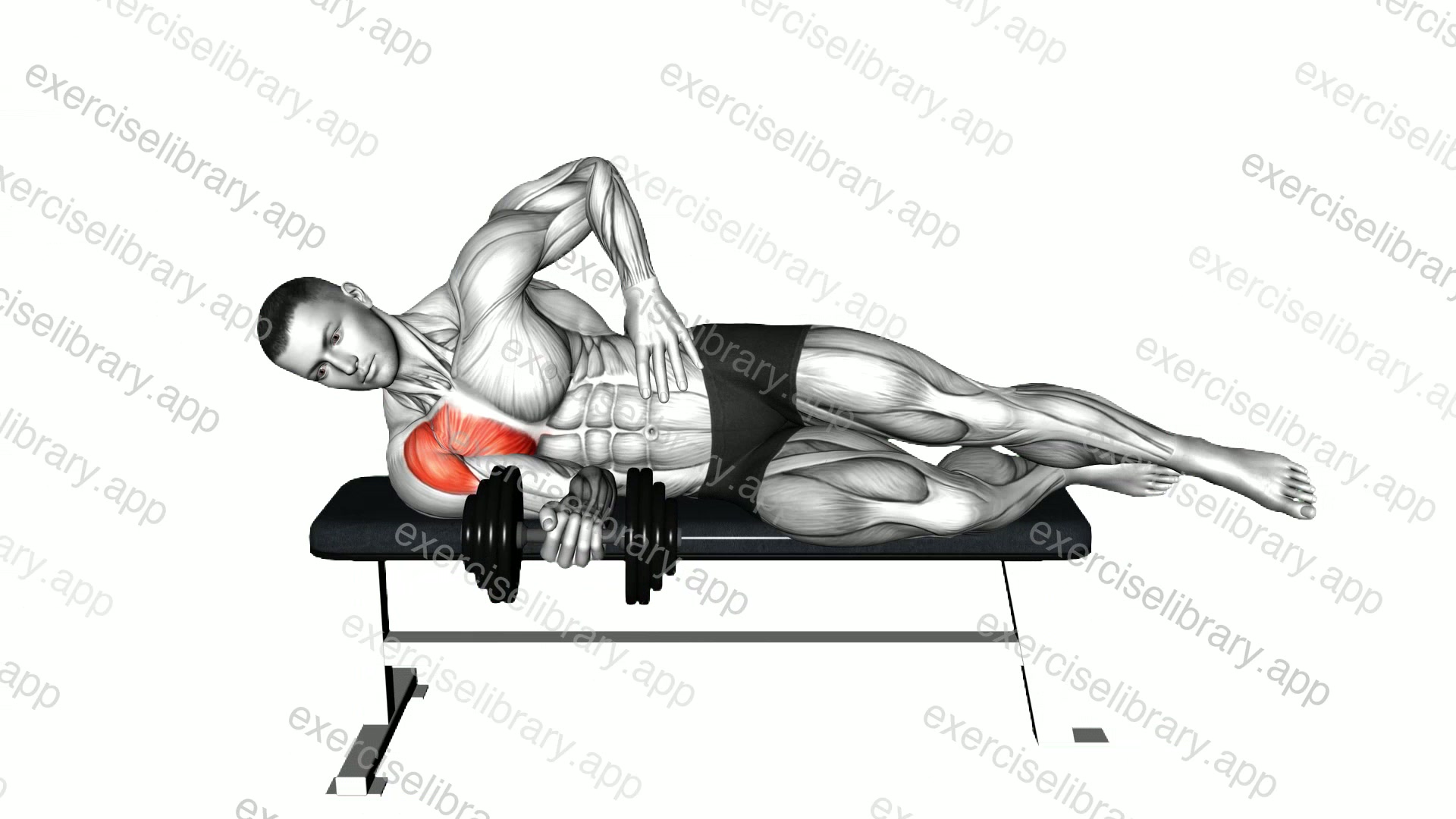 Dumbbell Side Lying Internal Rotation demonstration