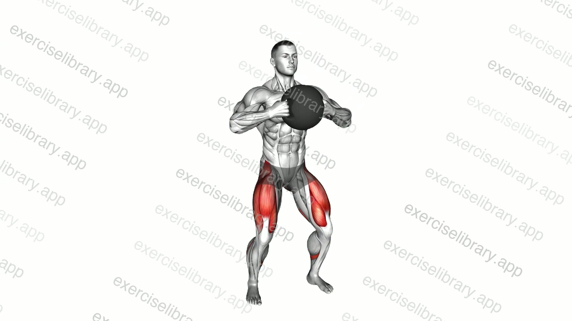 Medicine Ball Goblet Squat demonstration