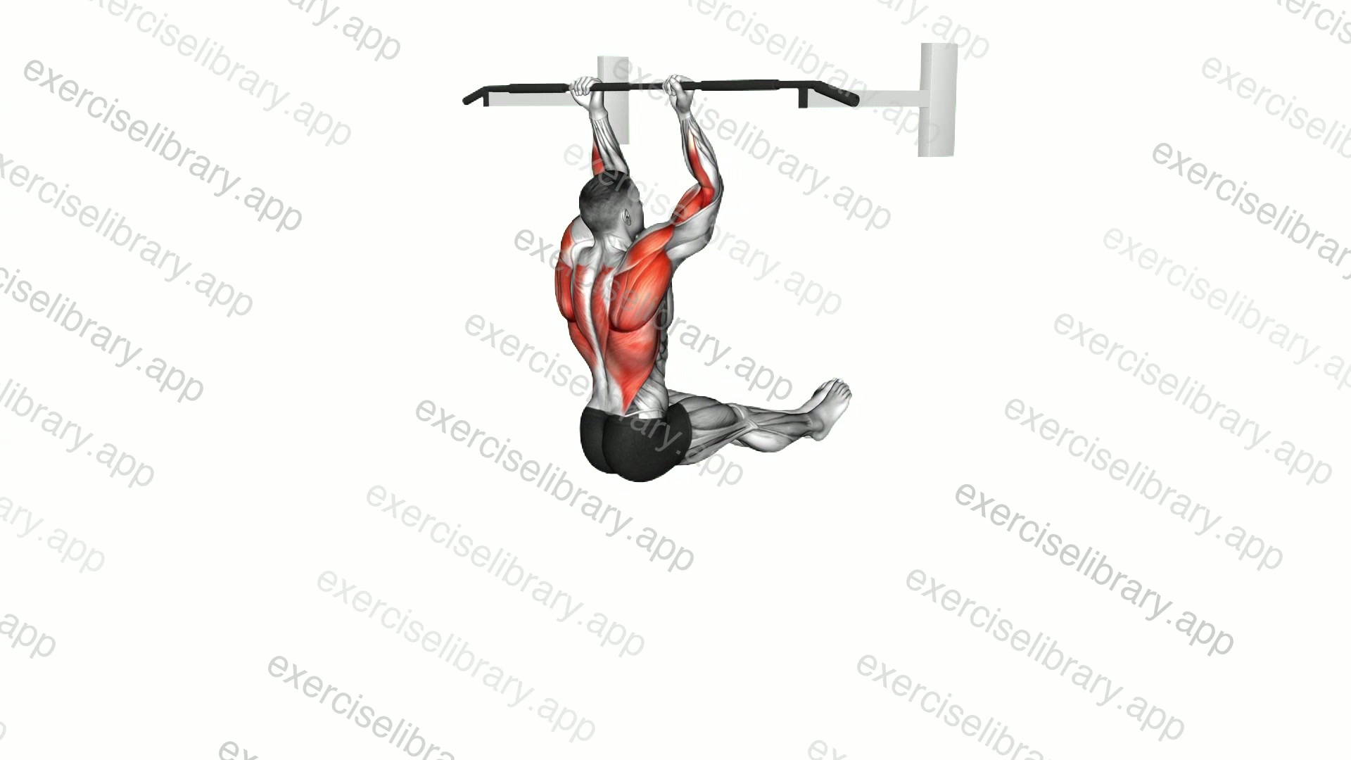 L Sit Chin-up demonstration