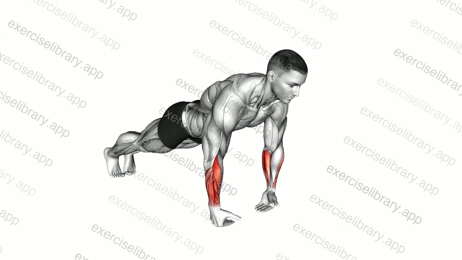 Wrist Push-up demonstration