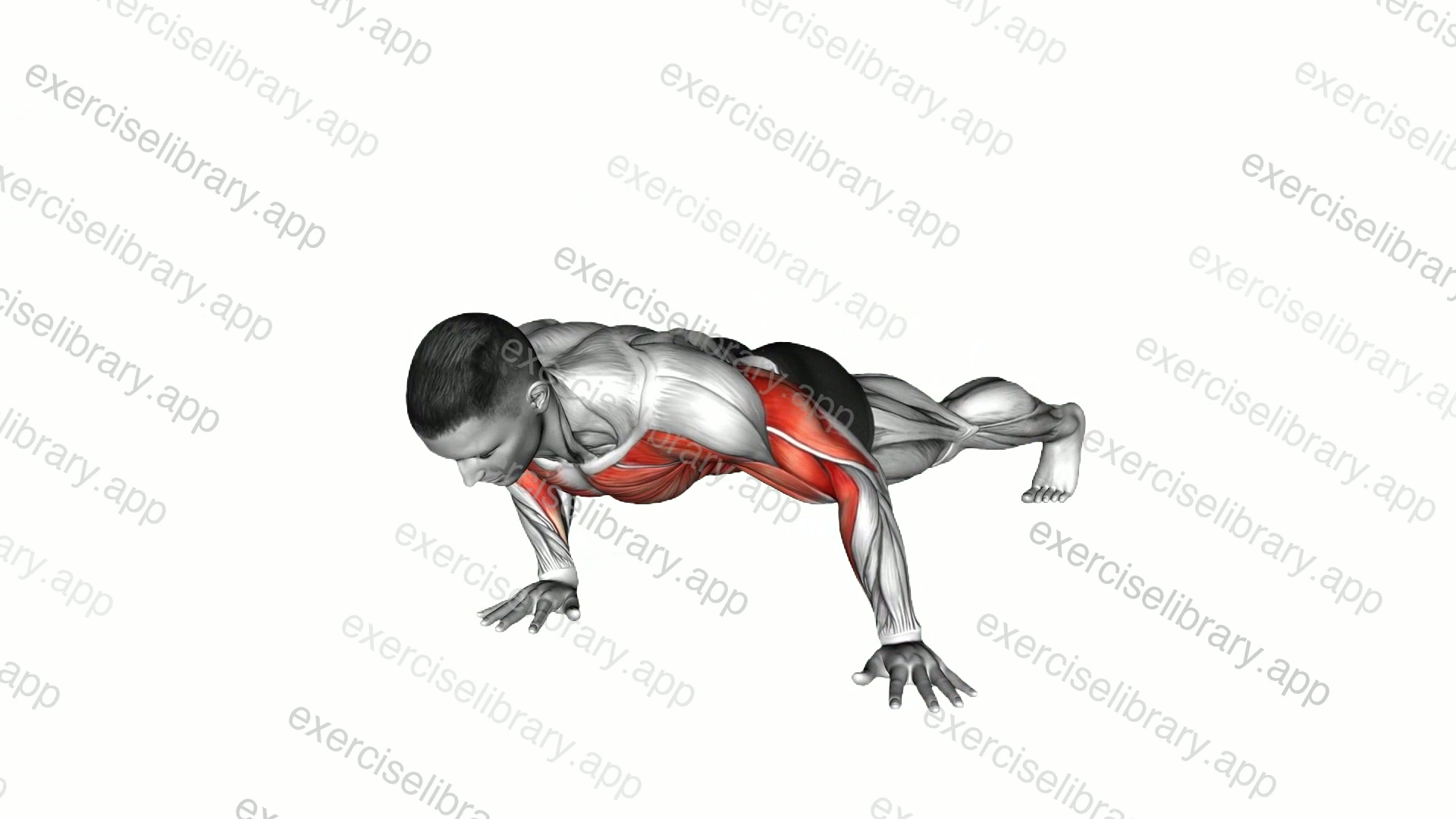 Lever Push-up demonstration