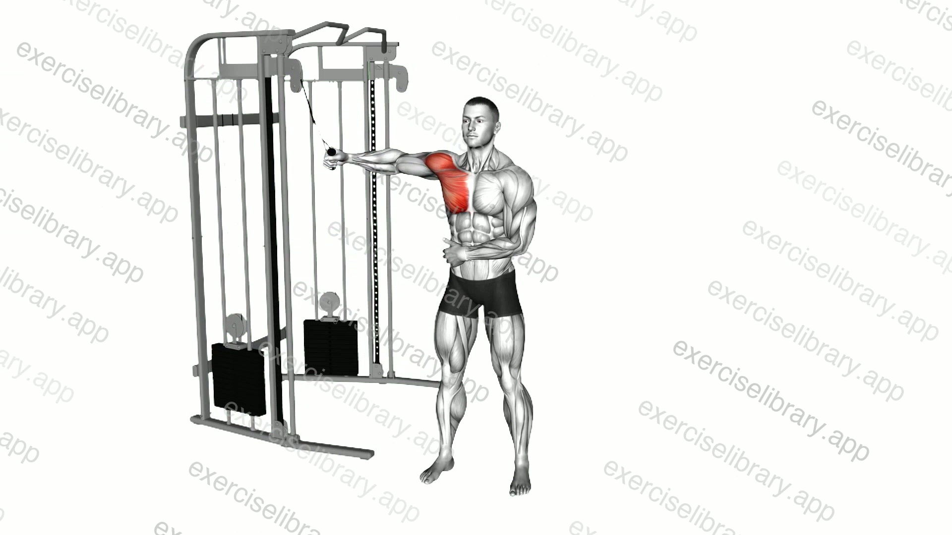 Cable Single Arm Crossover demonstration
