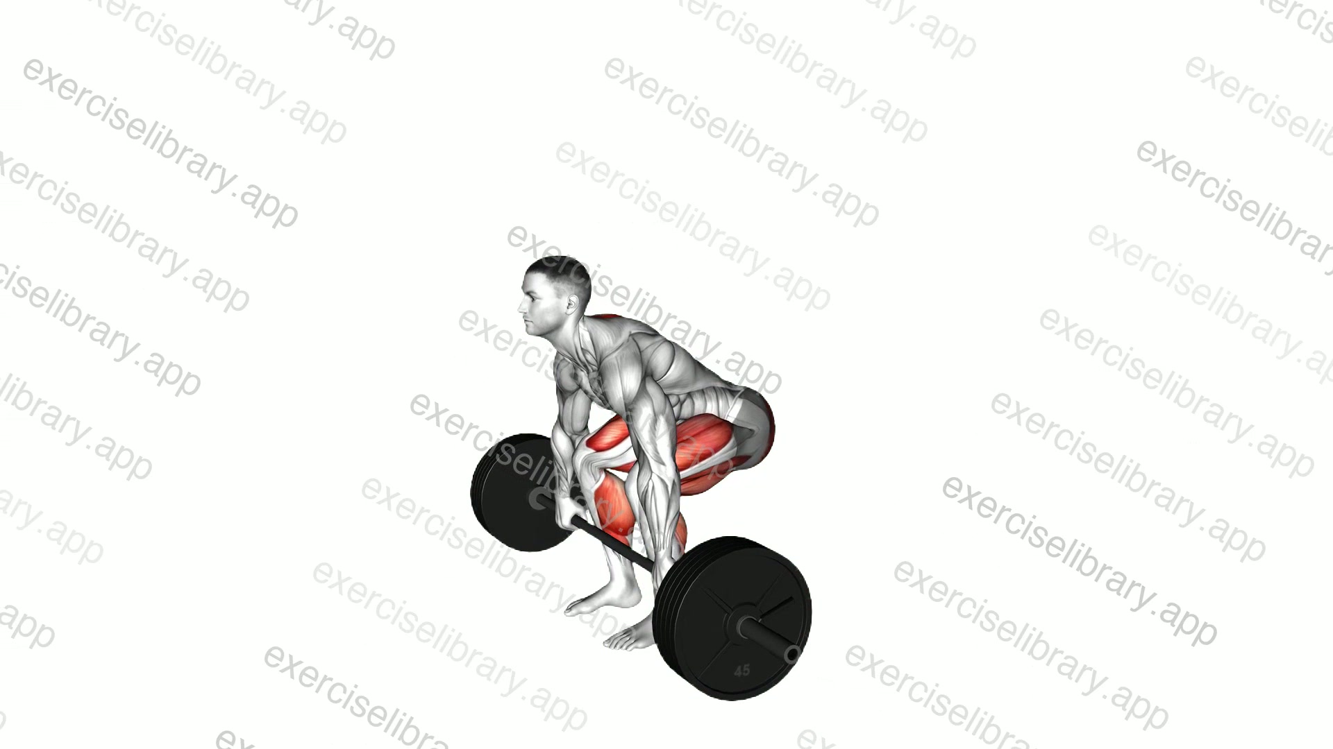 Axle Deadlift demonstration