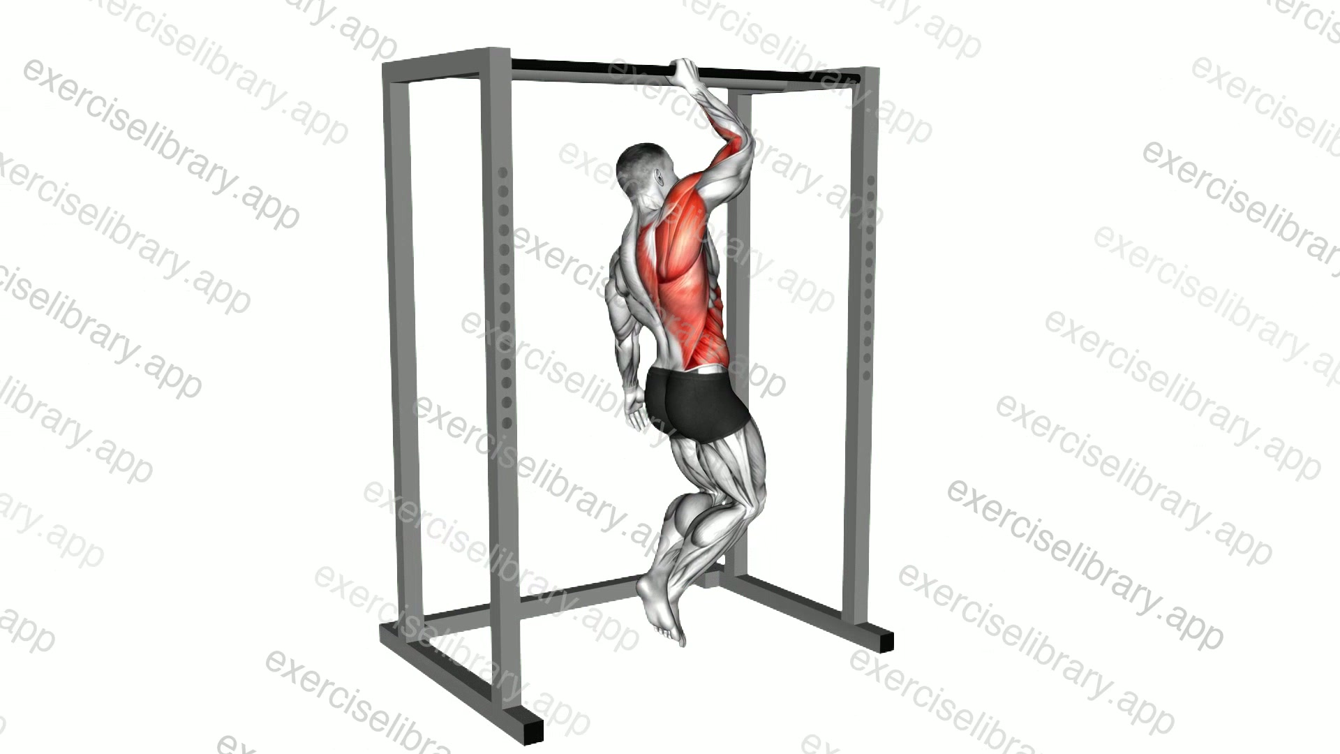 Assisted Single Arm Pull-up demonstration