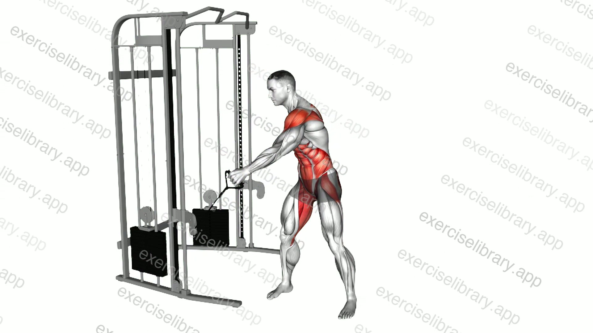 Cable Standing Backhand demonstration