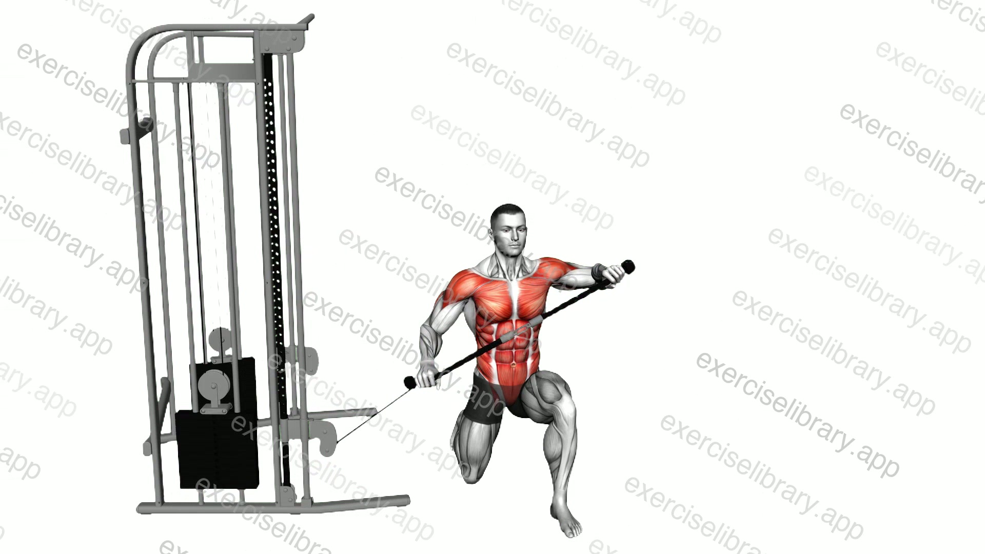 Cable Half Kneeling Lift demonstration