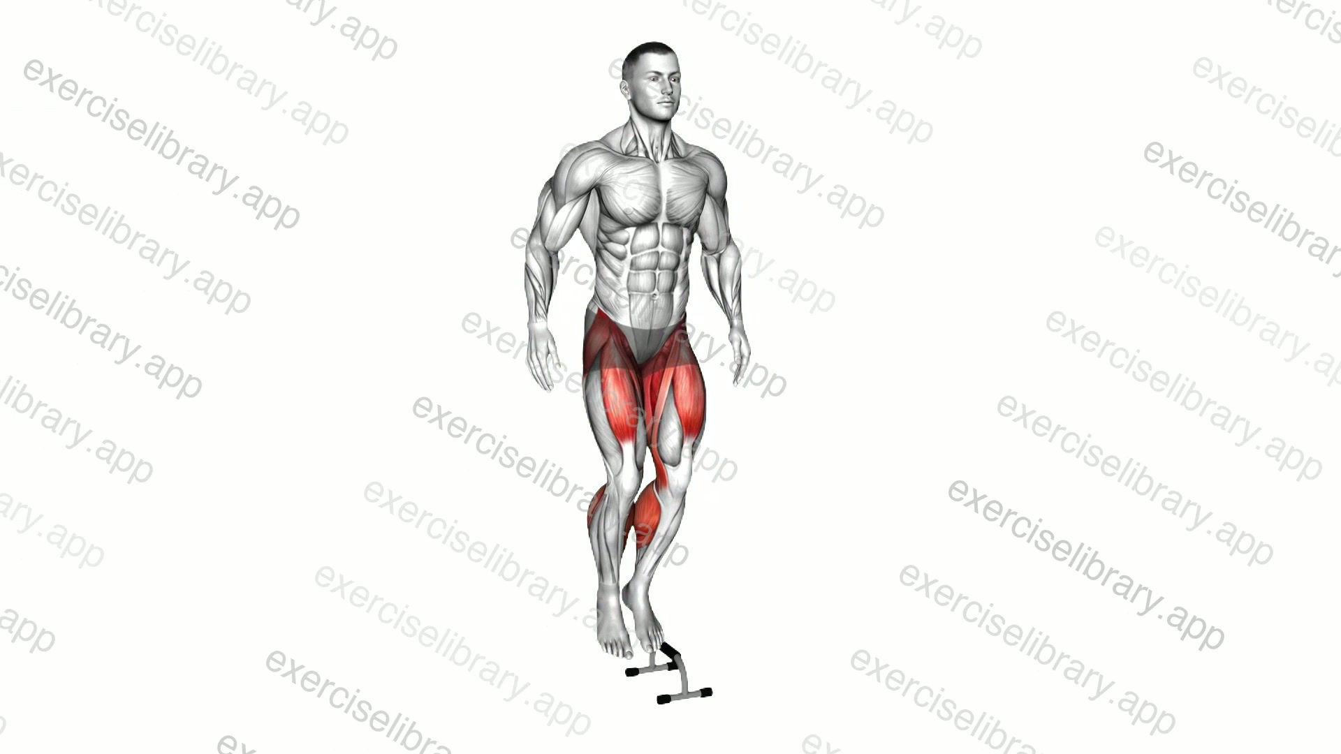 Lateral Hurdle Jump demonstration