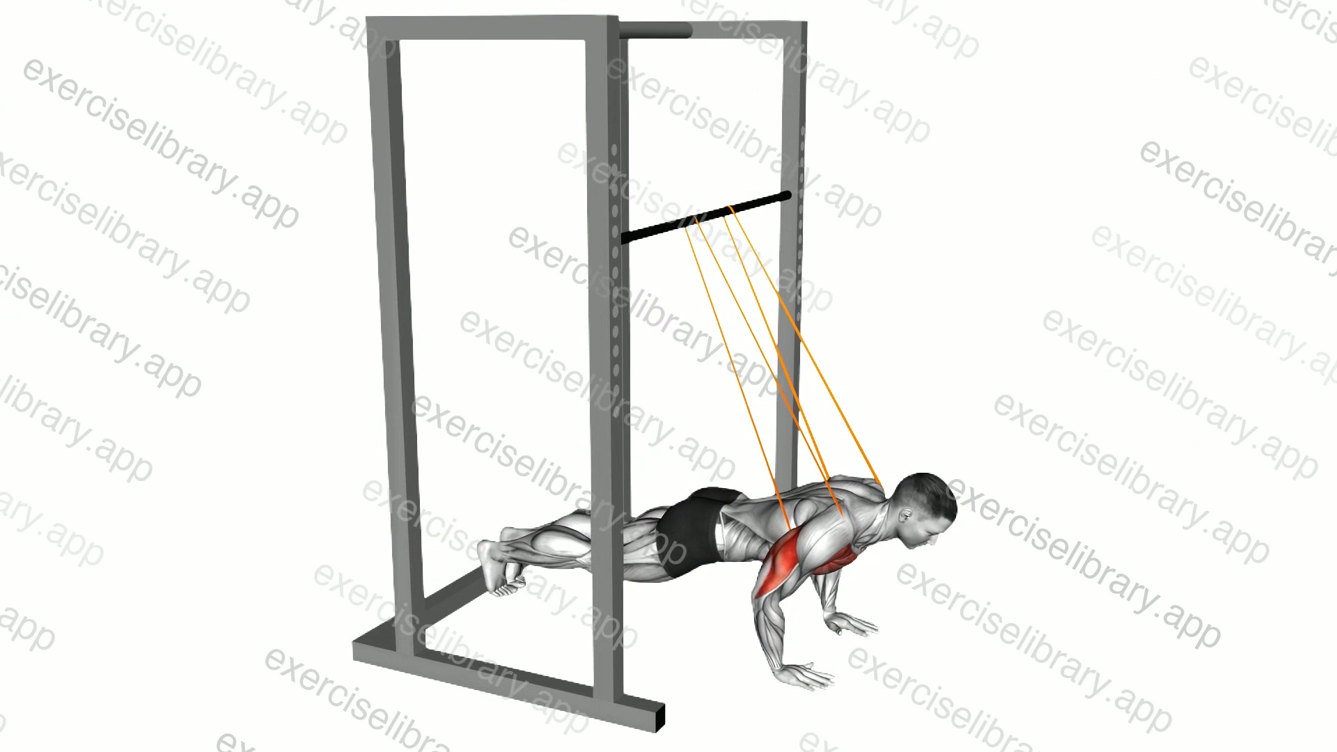 Resistance Band Assisted Push-up demonstration