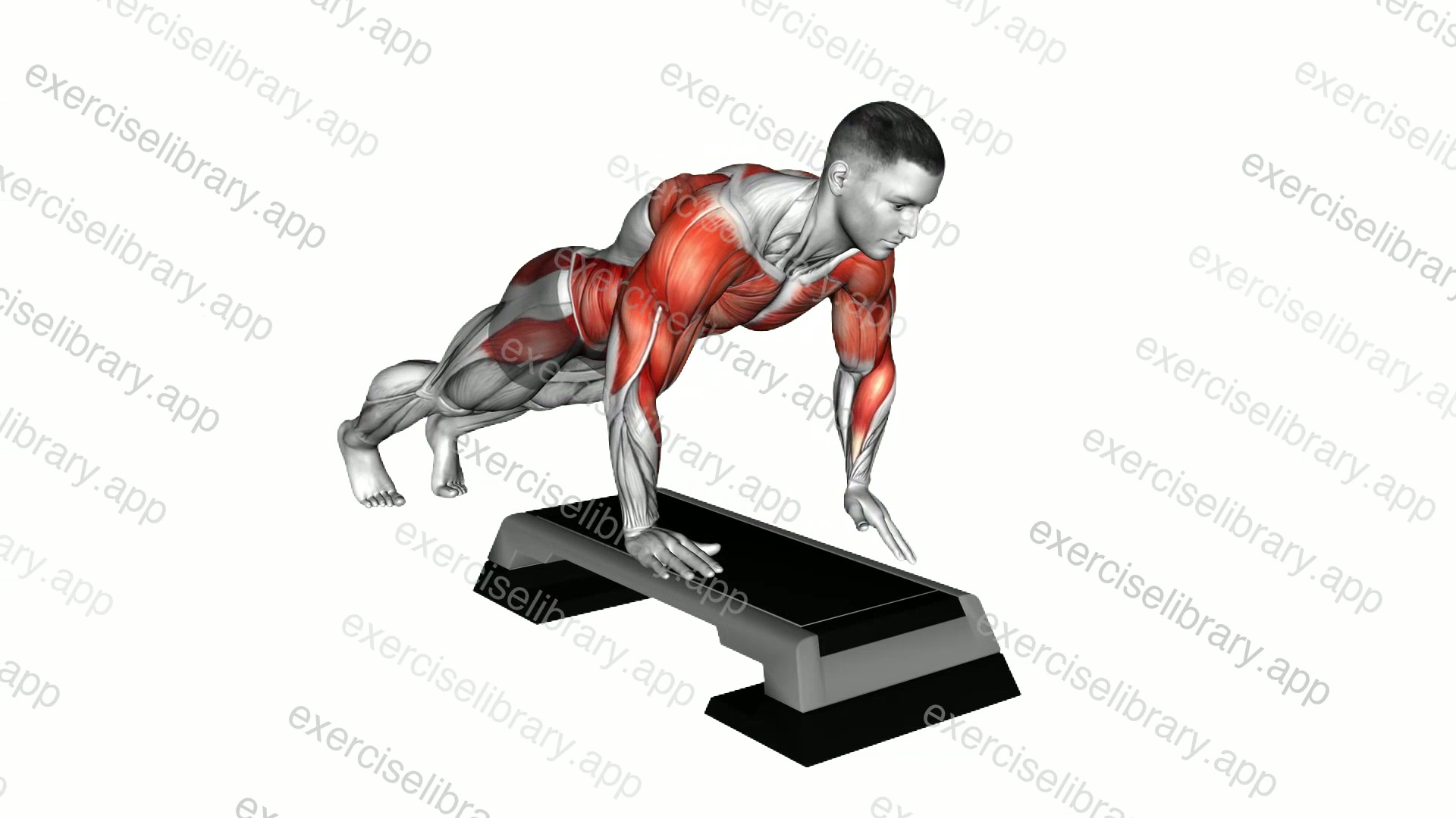 Plank Hand Switch demonstration