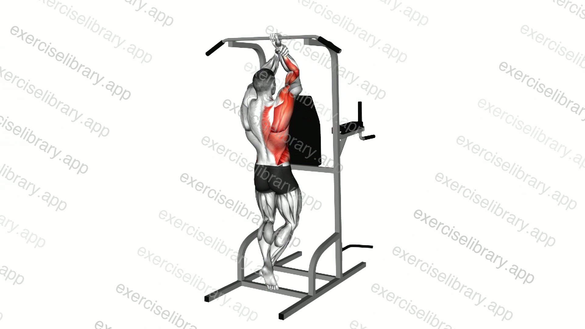 Uneven Pull-up demonstration