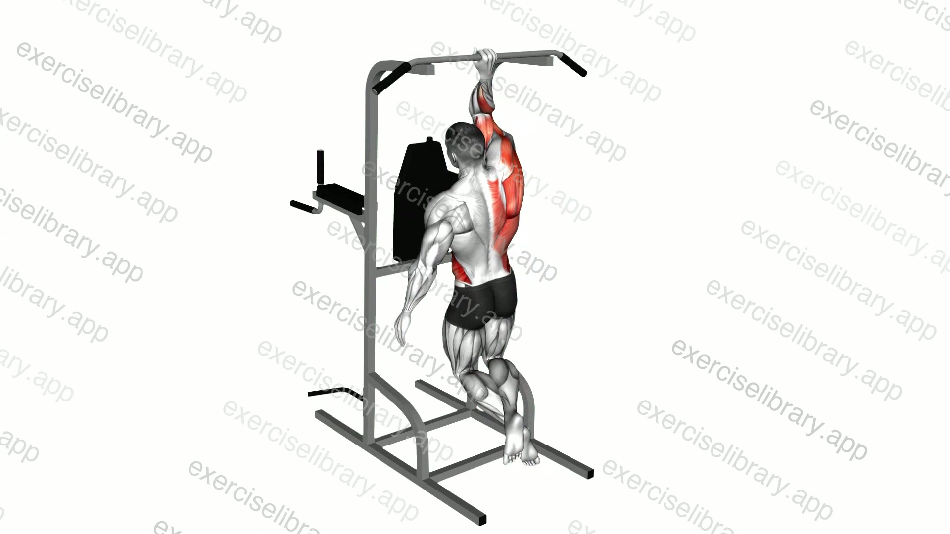 Single Arm Pull-up demonstration