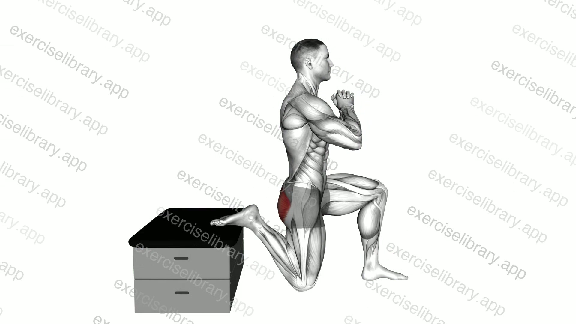 Half Kneeling Glute Stretch demonstration