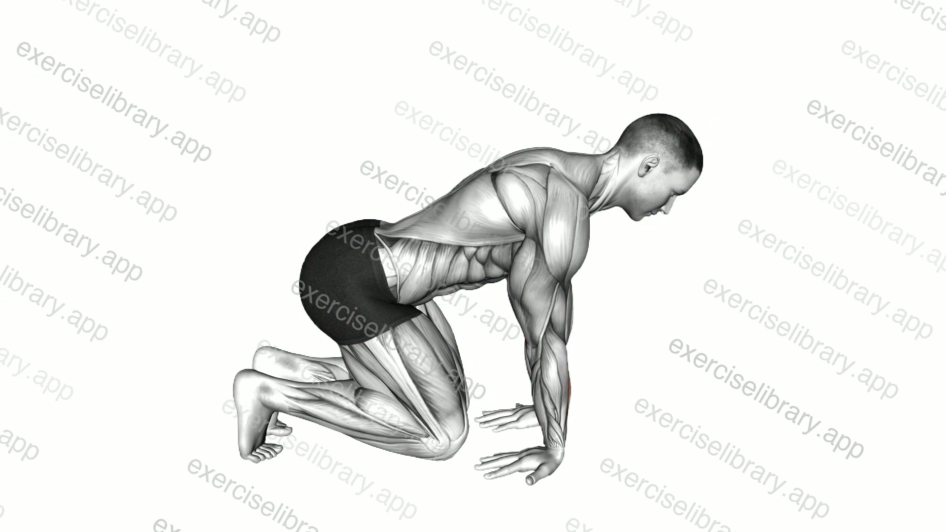 Kneeling Reverse Palm Nudges demonstration