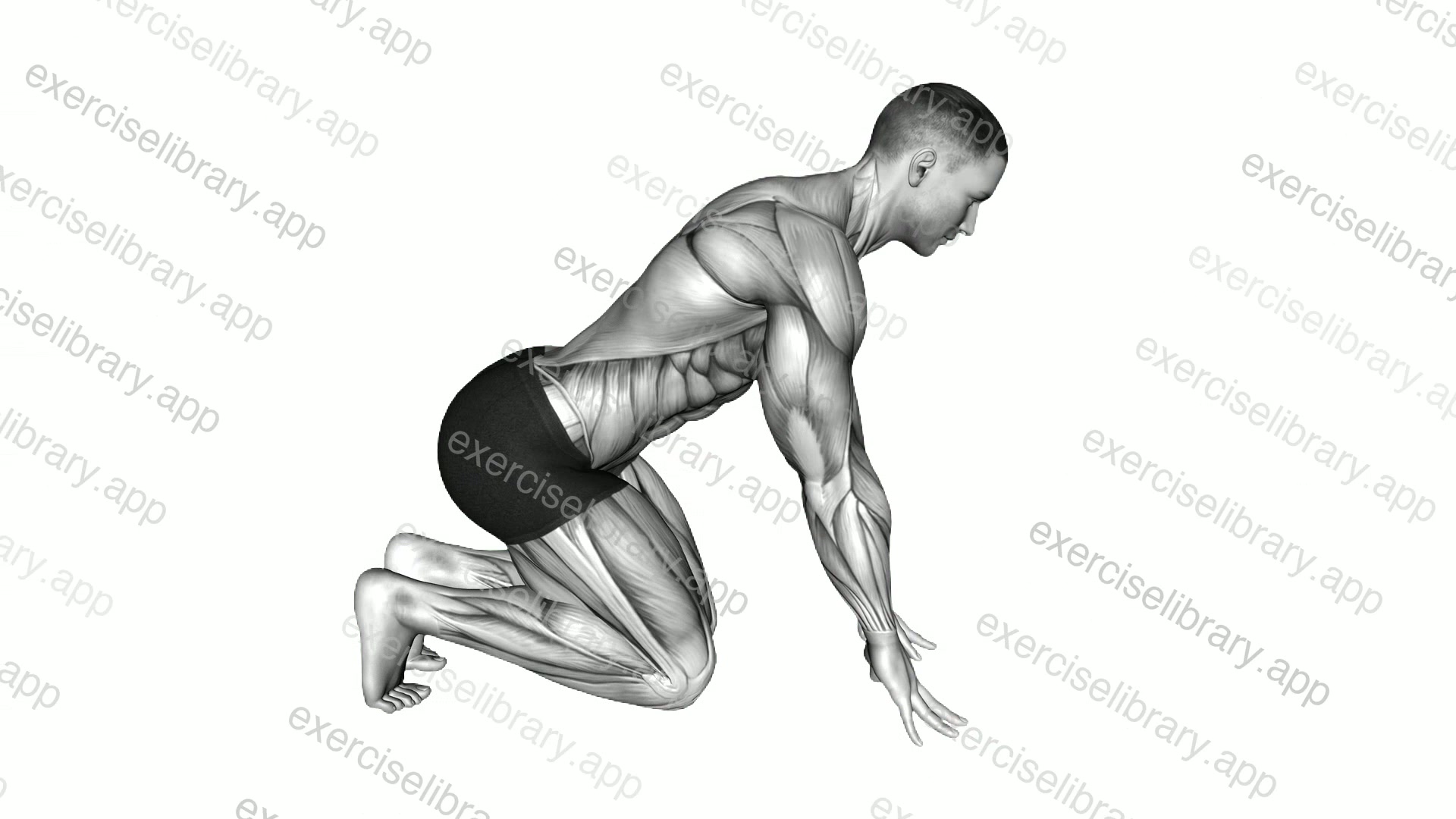 Kneeling Finger Pulse demonstration
