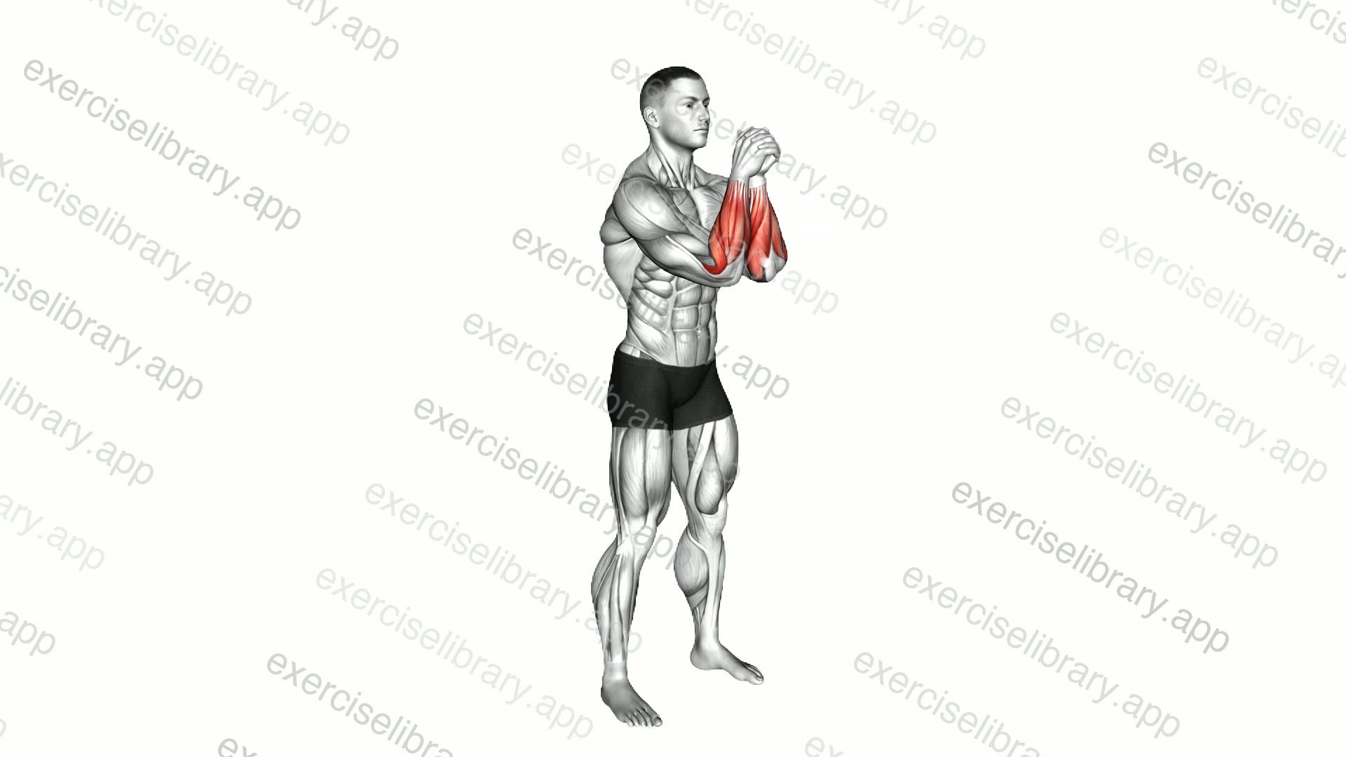 Standing Wrist Rotation demonstration