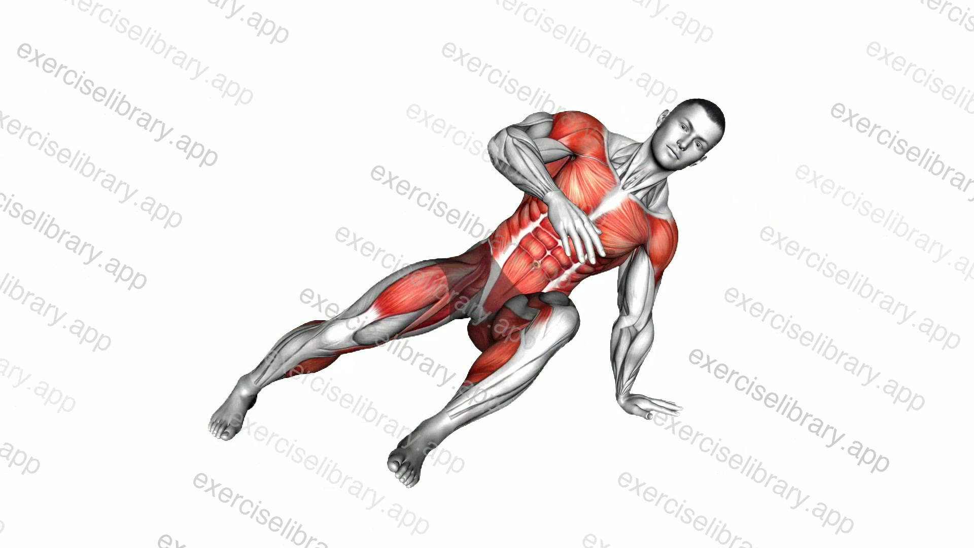 Plank Side Kick Through demonstration