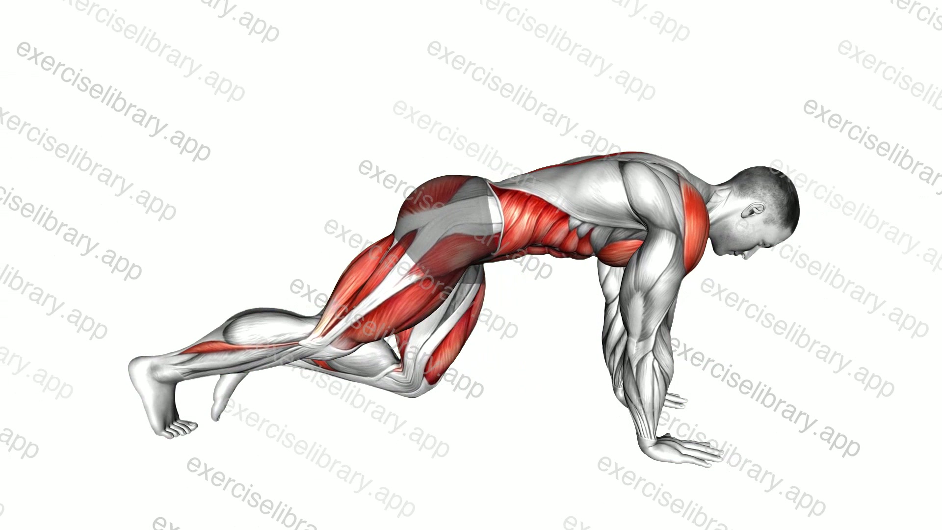 Running Plank demonstration