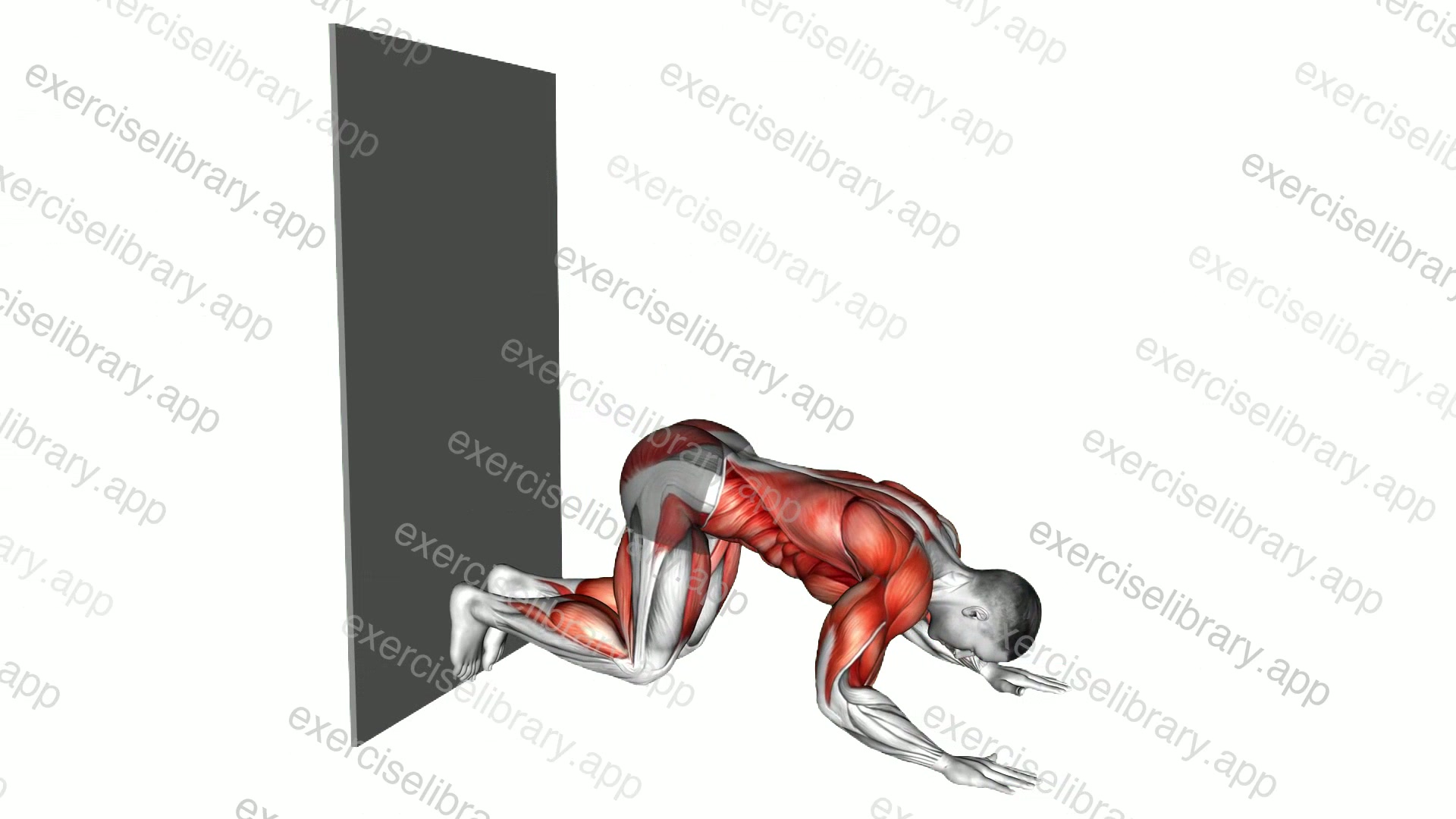 Downward Dog Push-up against Wall demonstration