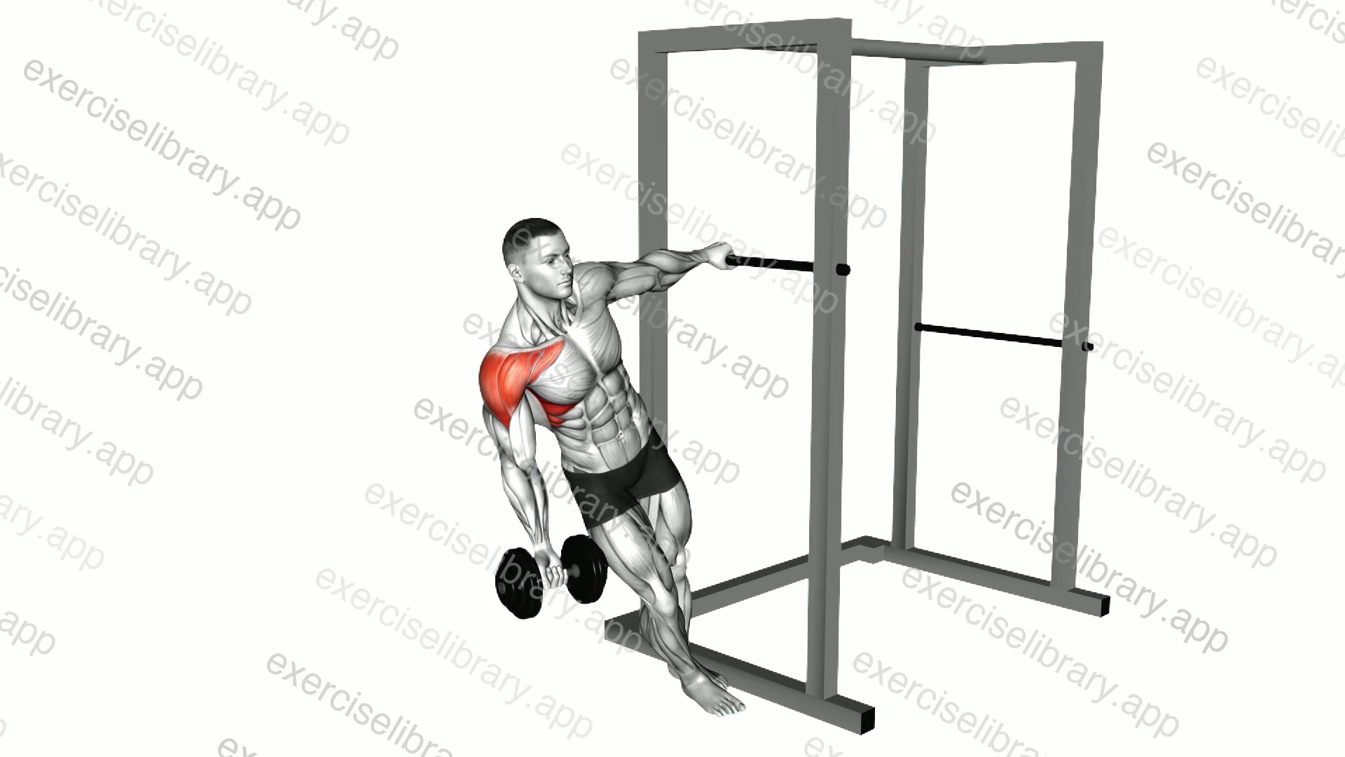 Dumbbell Learning Front Raise demonstration