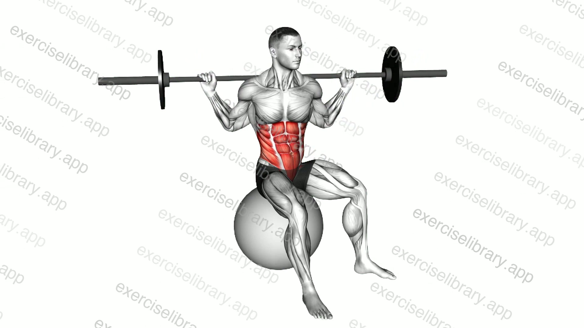 Barbell Seated Twist demonstration