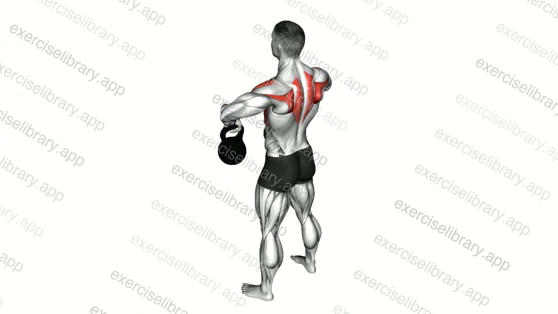 Kettlebell Upright Row demonstration