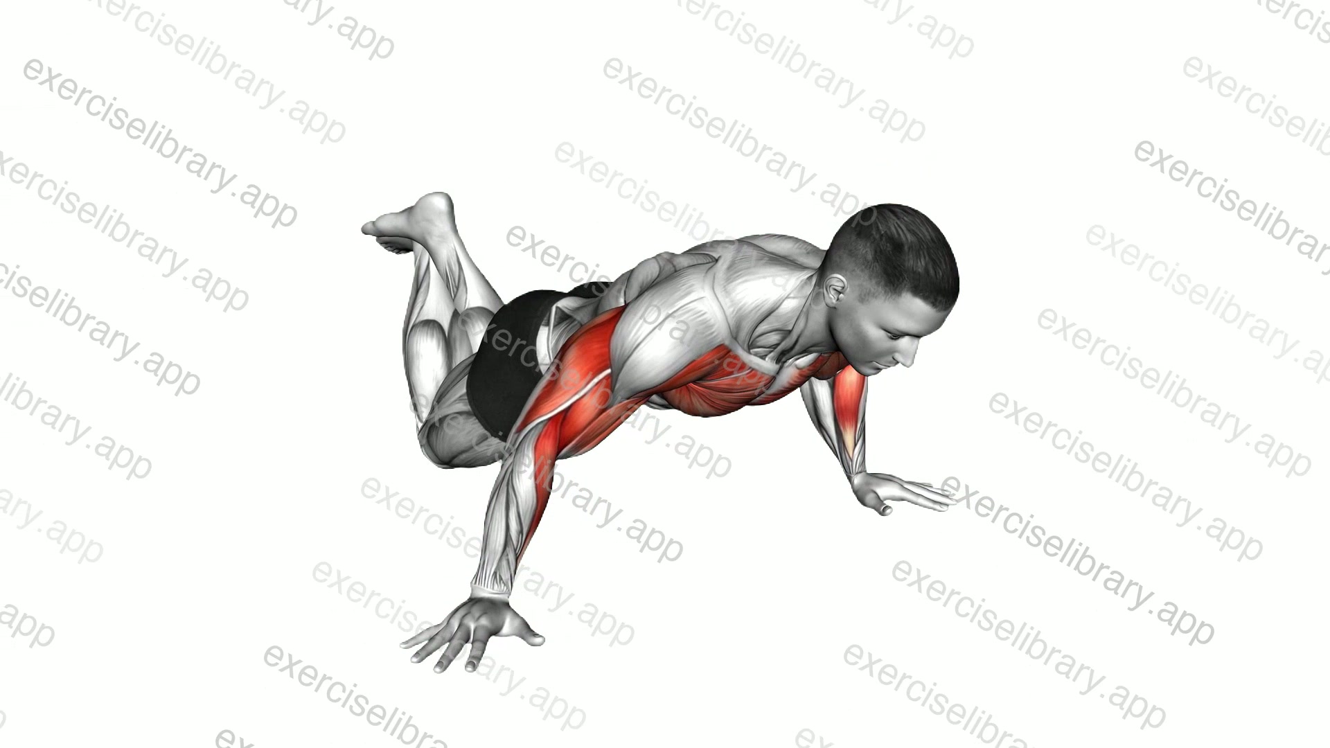 Kneeling One Side Archer Push-up demonstration