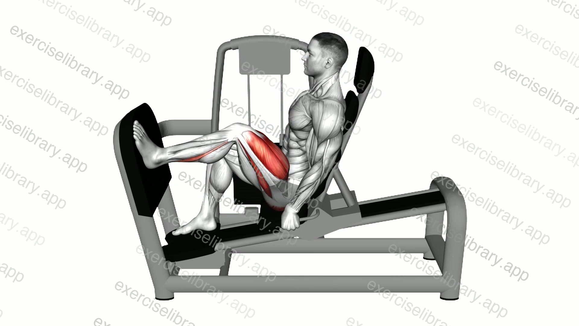 Lever Seated Single Leg Press demonstration