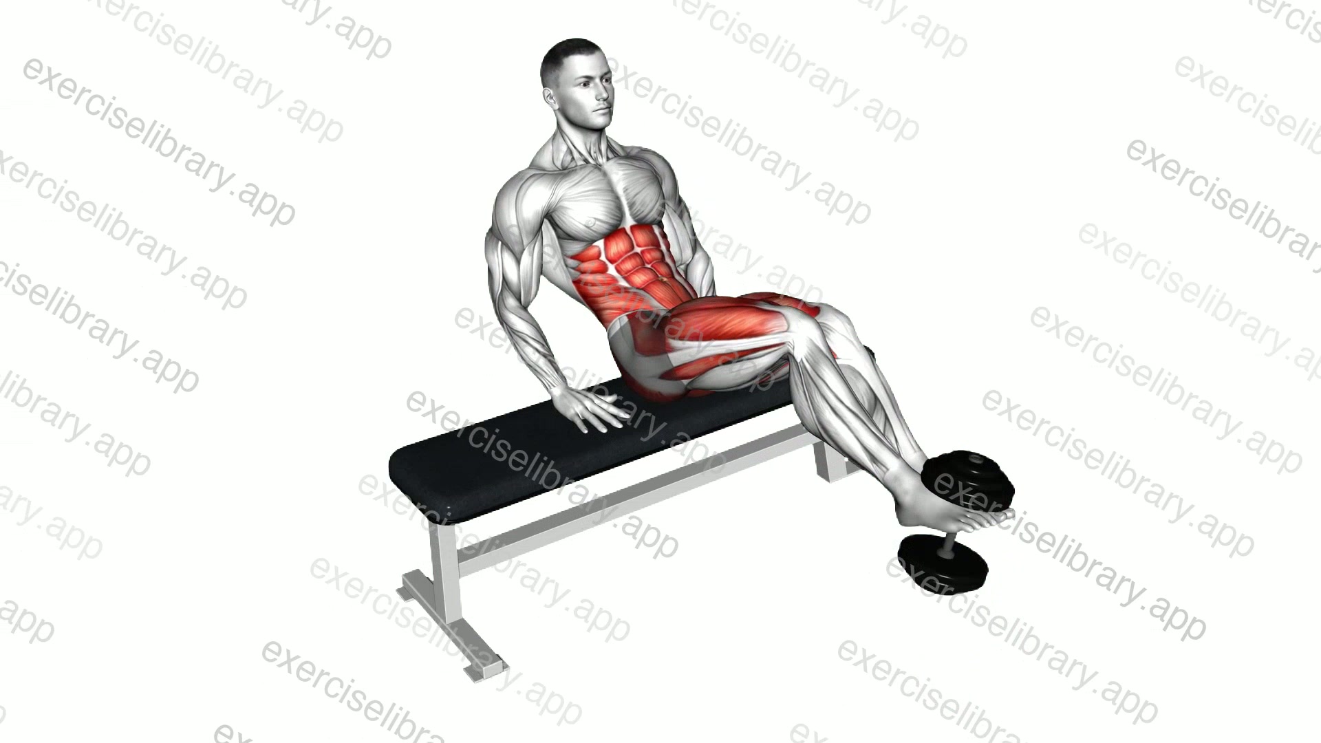 Weighted Twisting Crunch demonstration