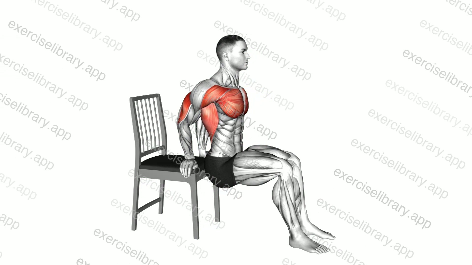 Dip Bent Knees with Chair demonstration