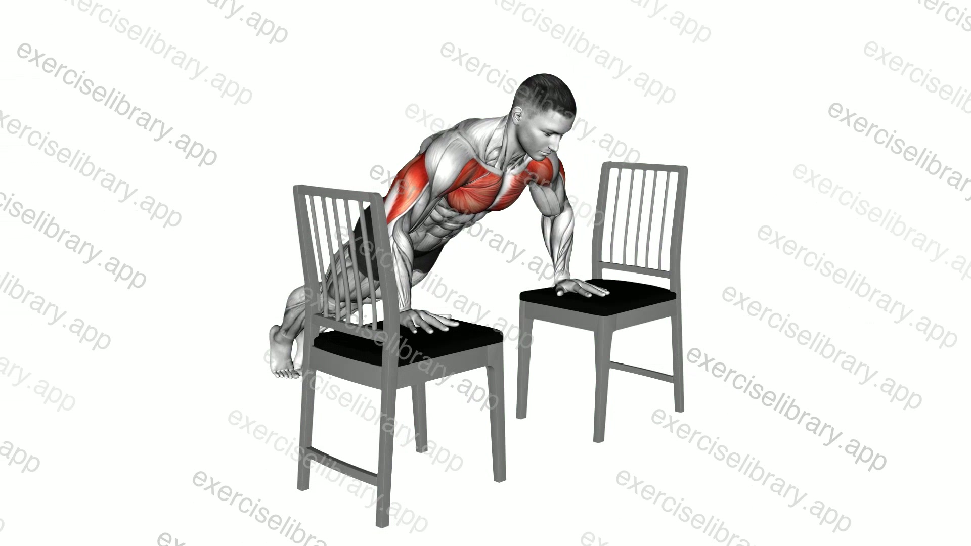 Incline Push-up with Chair demonstration