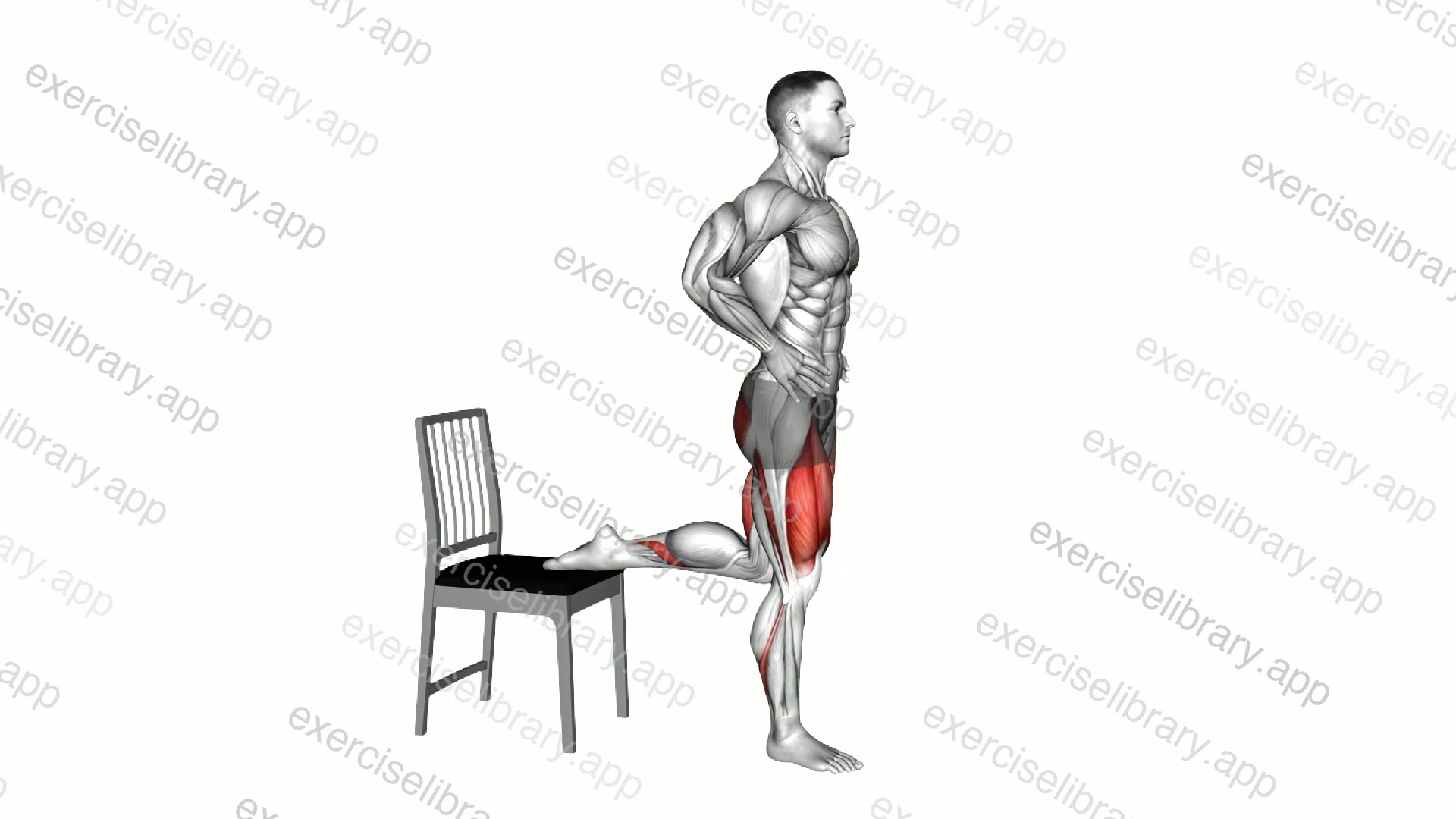 Bulgarian Split Squat with Chair demonstration