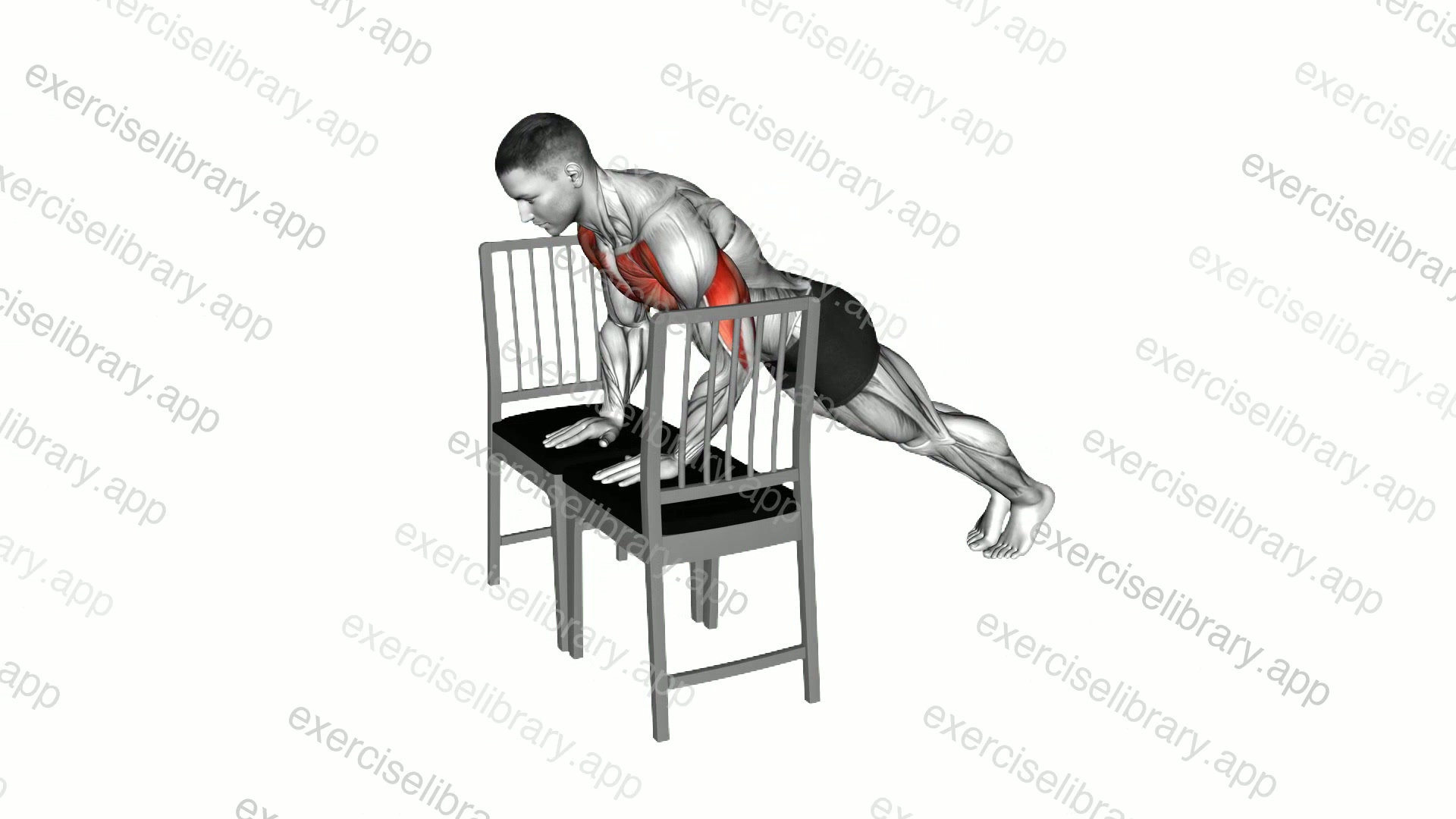 Incline Close Grip Push-up with Chair demonstration