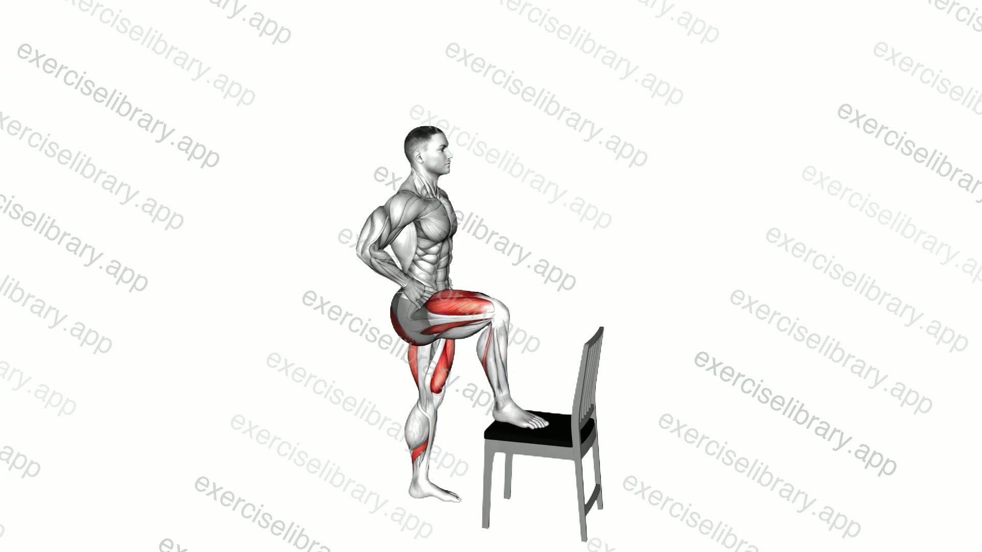 Step-up on Chair demonstration