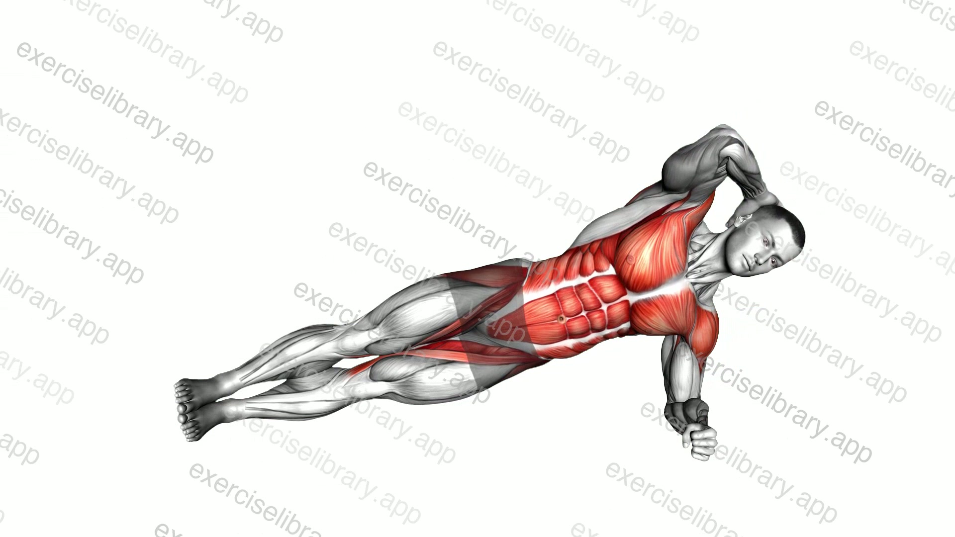 Side Plank Twist demonstration
