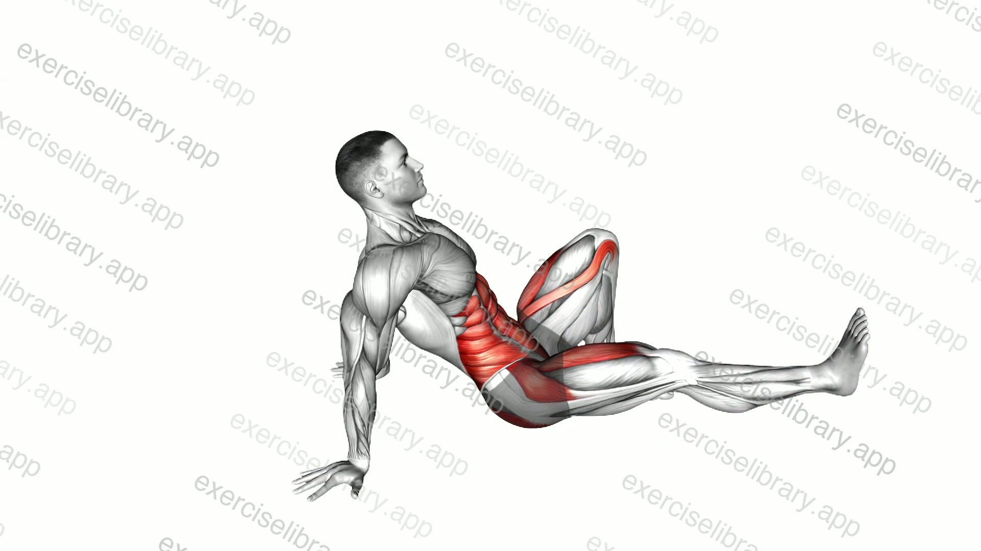 Leg Extension Star Crunch demonstration