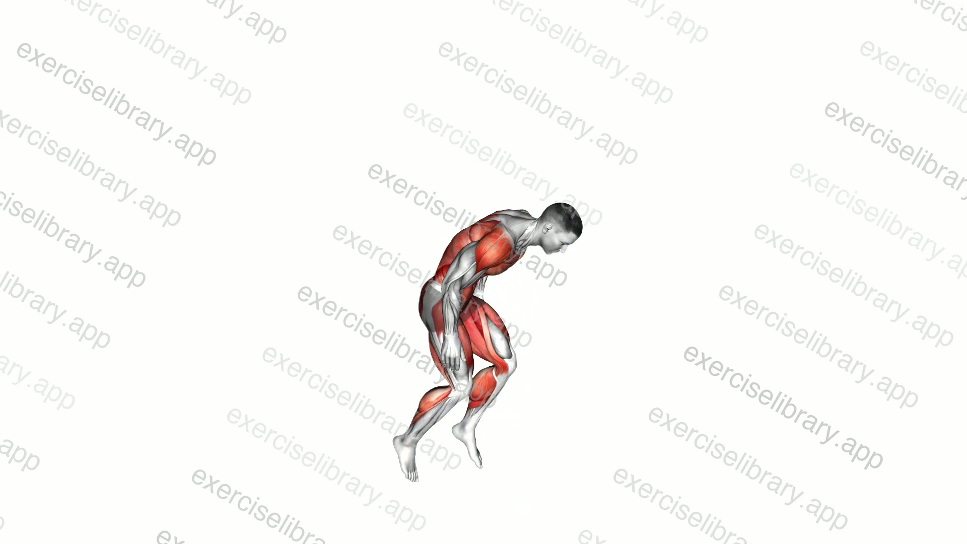 Jumping Jack Toe Touch demonstration