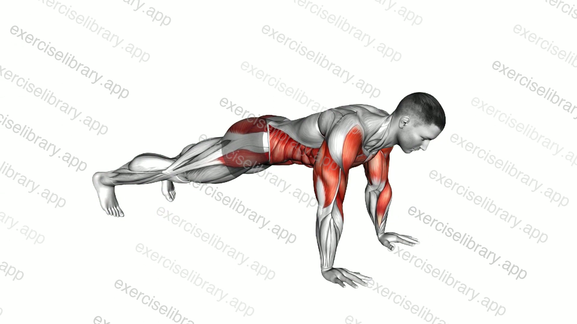 Shoulder Tap Jack Plank demonstration