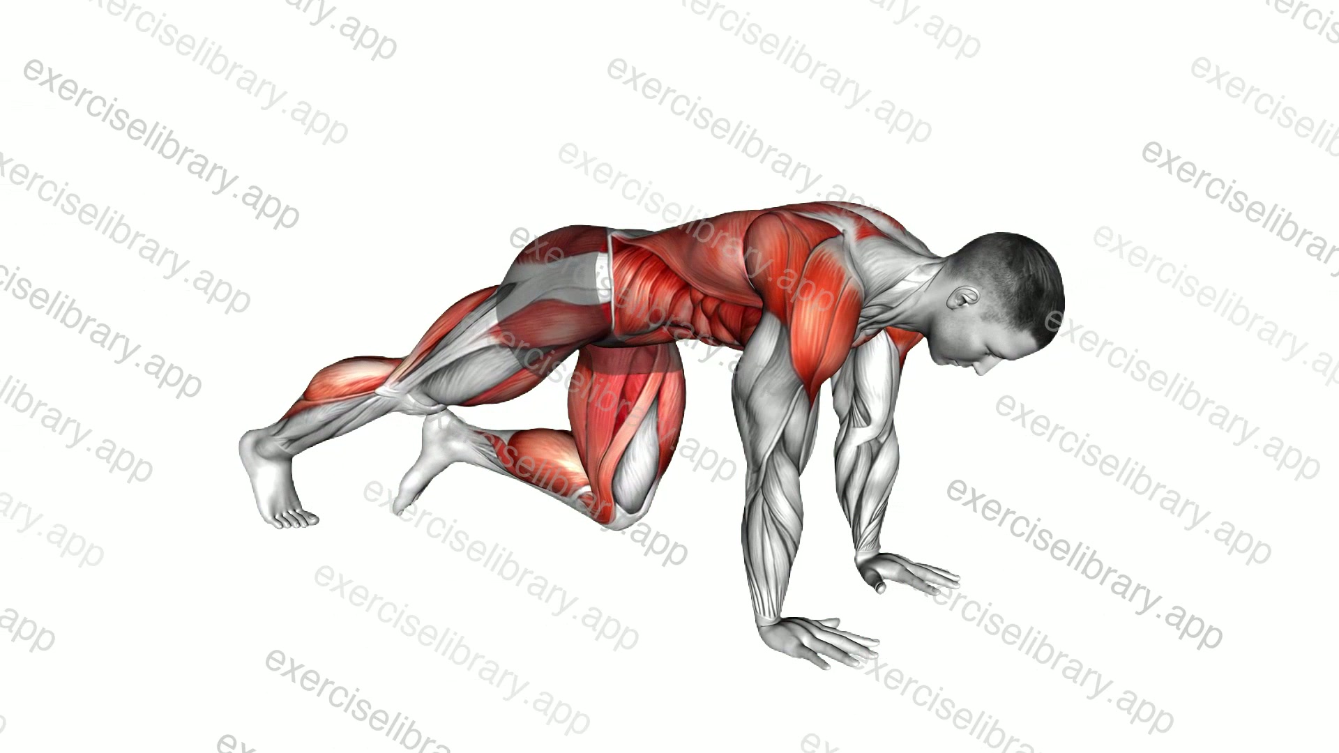 Mountain Climber Kickout demonstration
